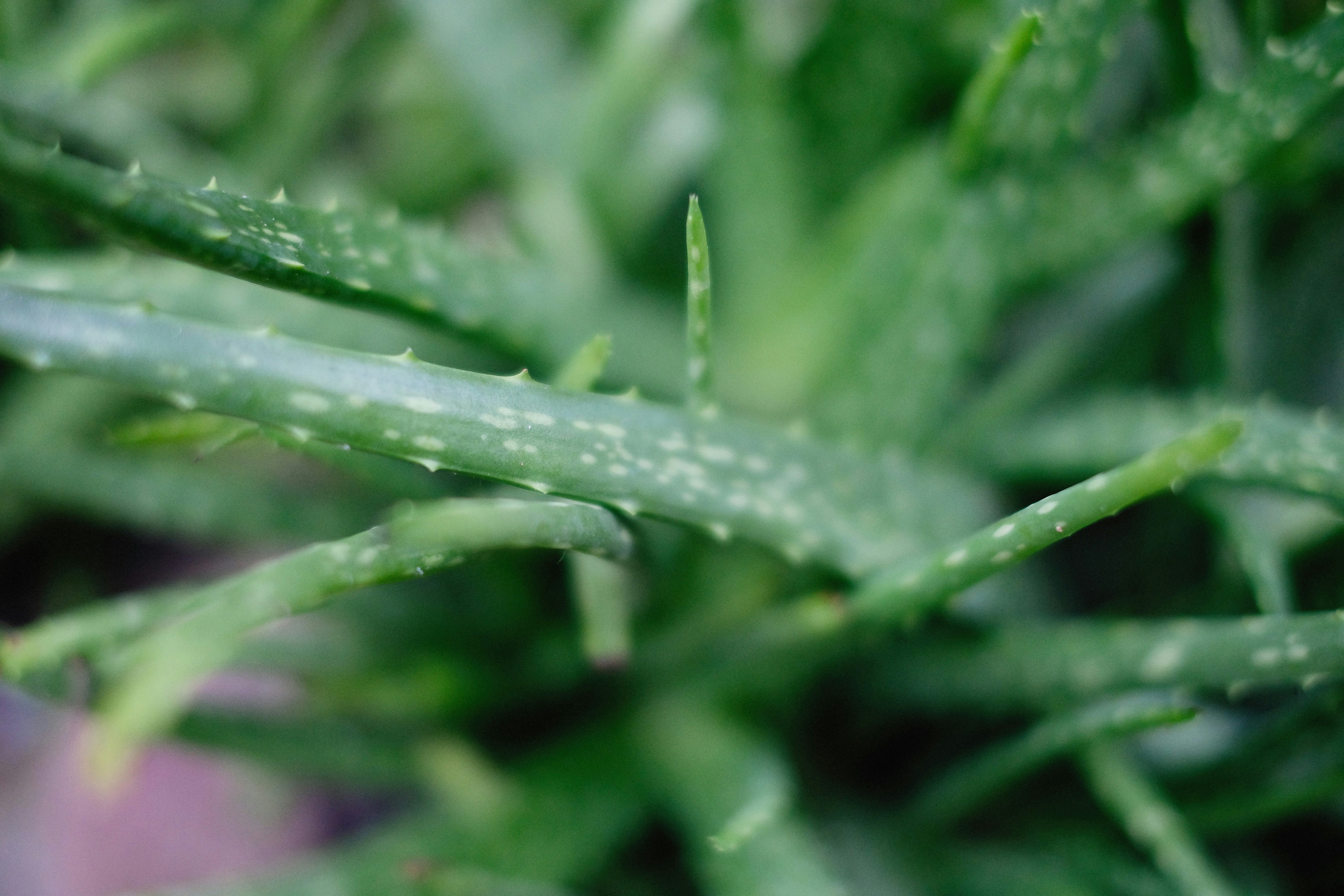 Photo by alexeydemidov