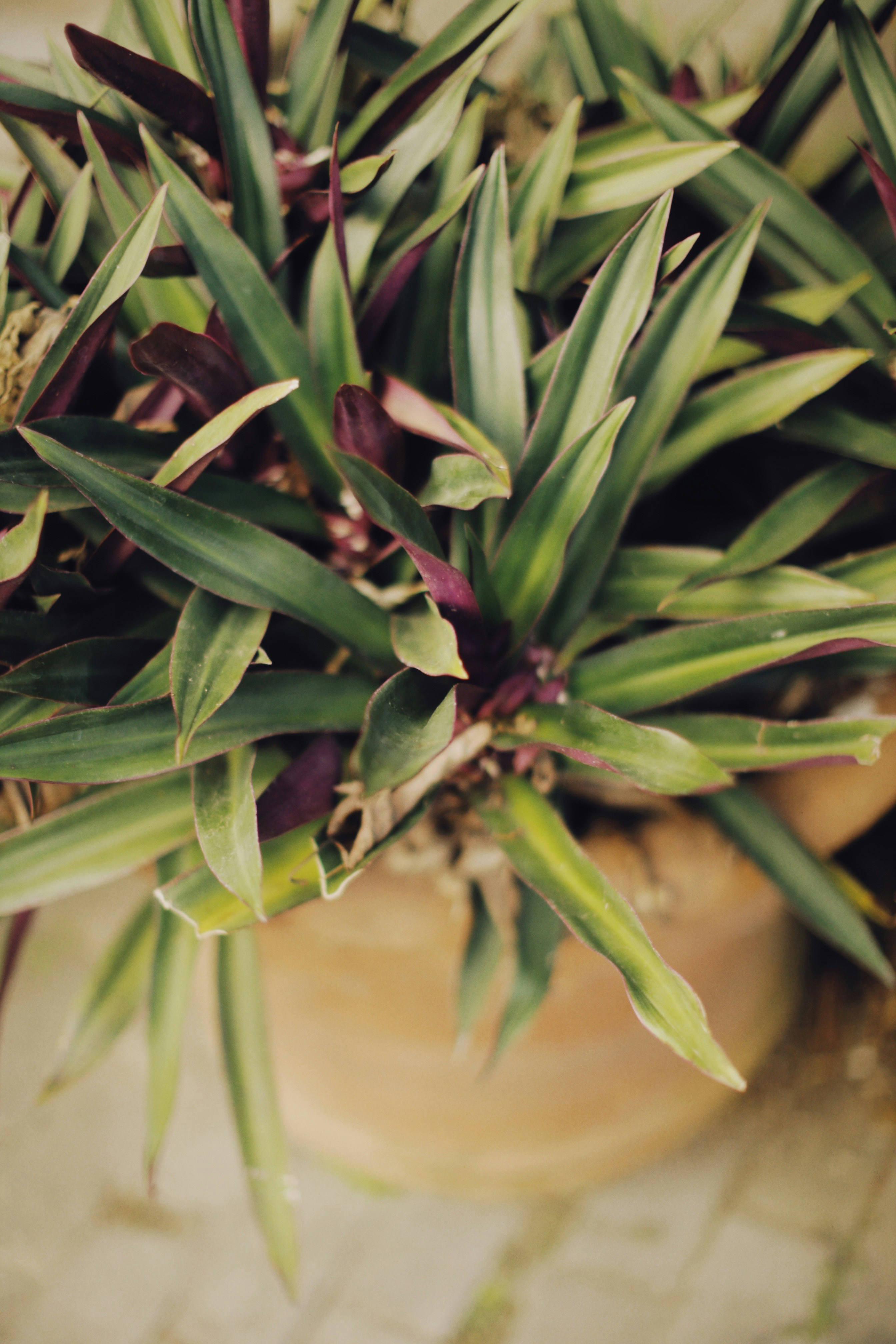 Photo by alexeydemidov