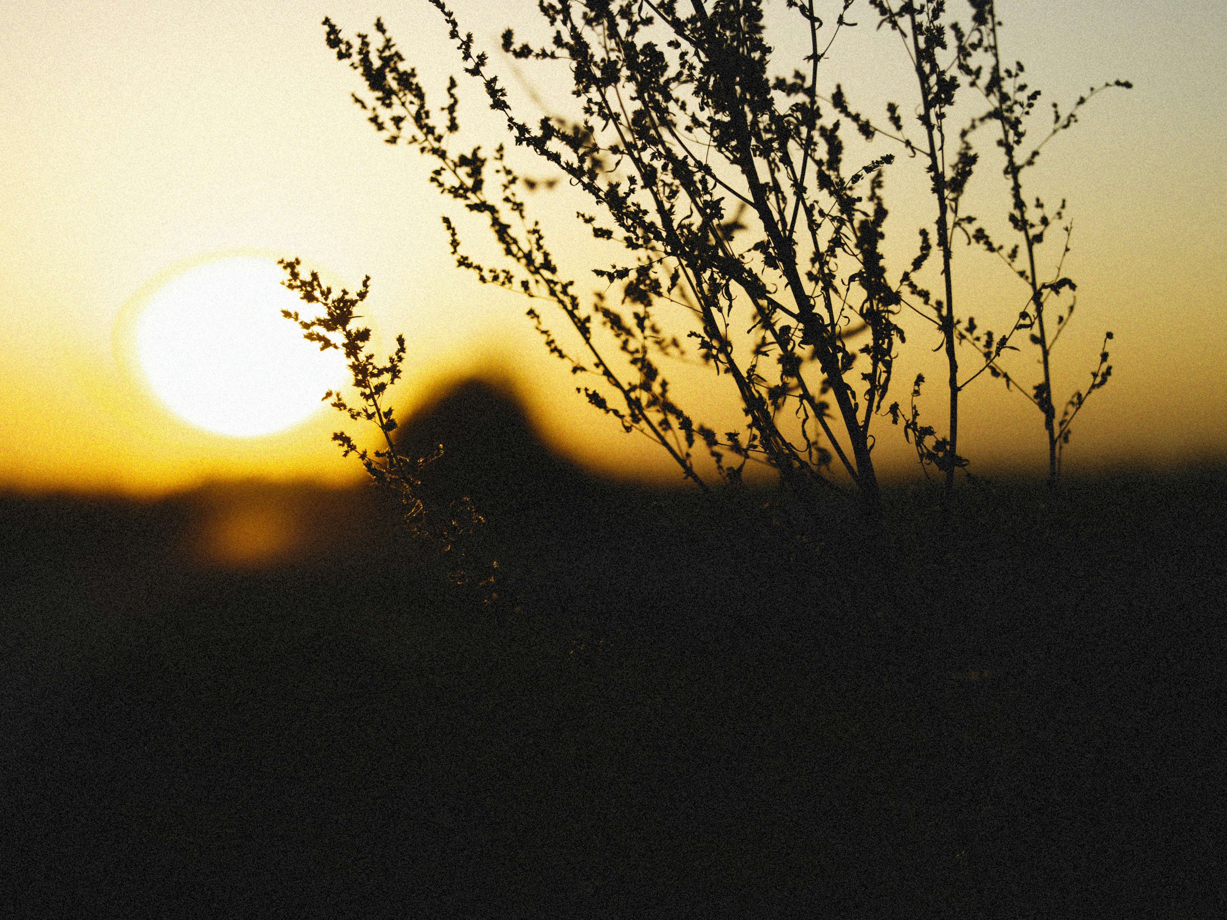 Photo by alexeydemidov