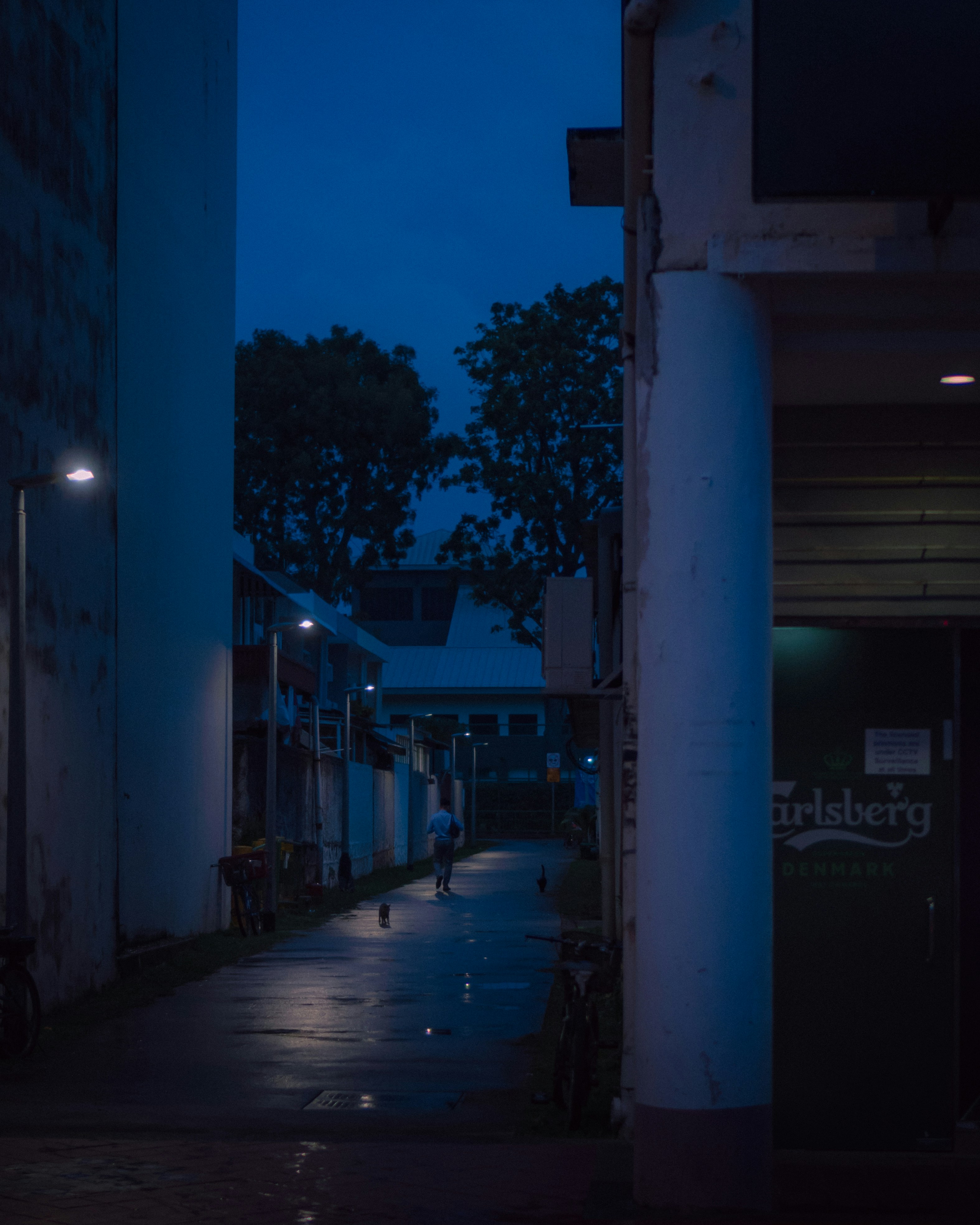 Photo by victoraldabalde