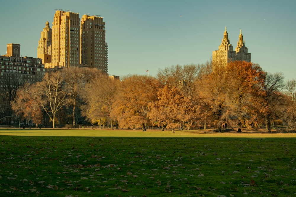 a grassy field with trees and buildings in the background