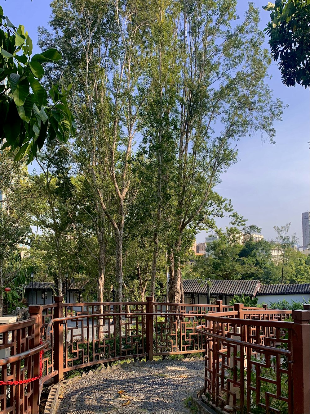 a wooden walkway surrounded by trees in a park