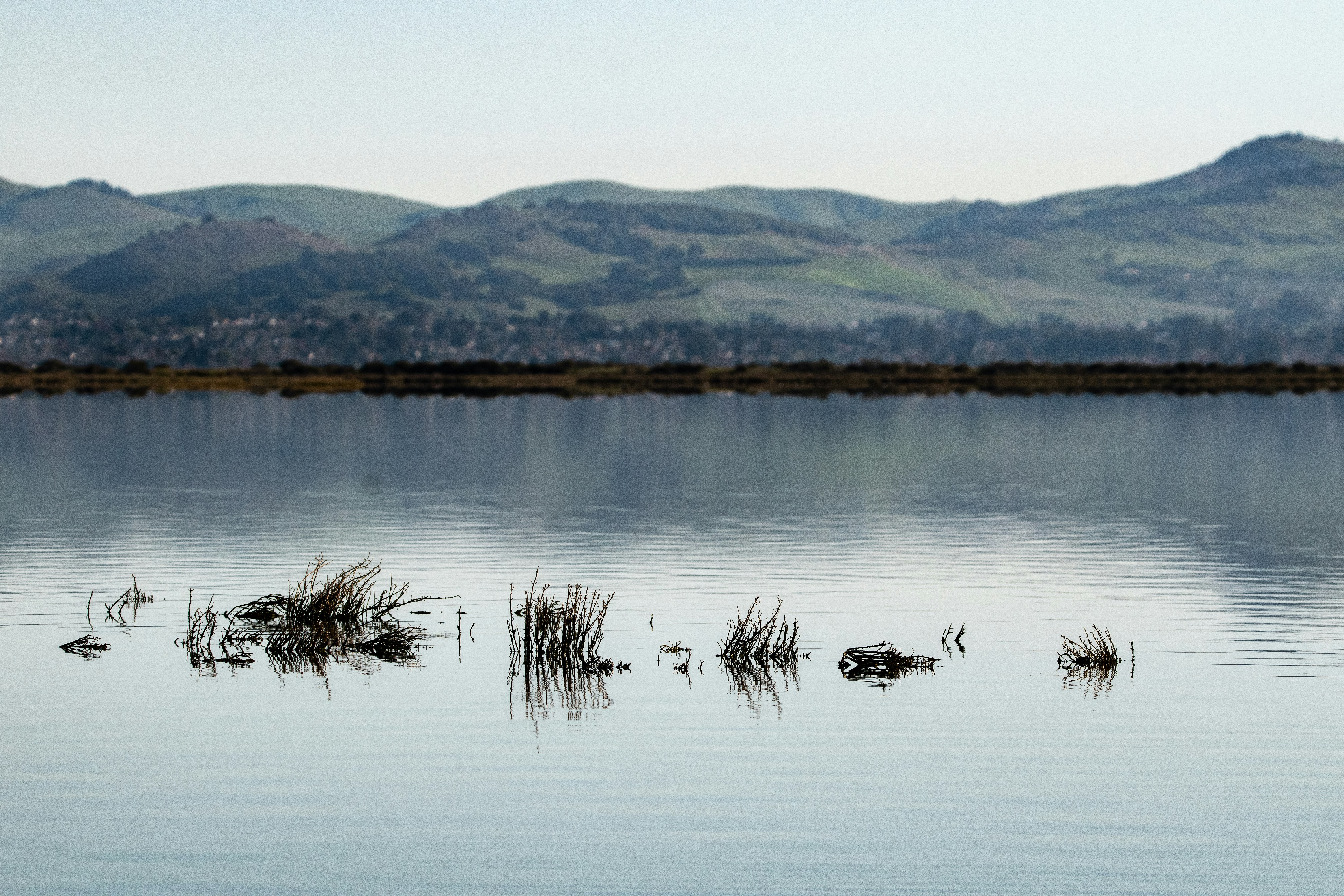 Photo by elisastonephotography