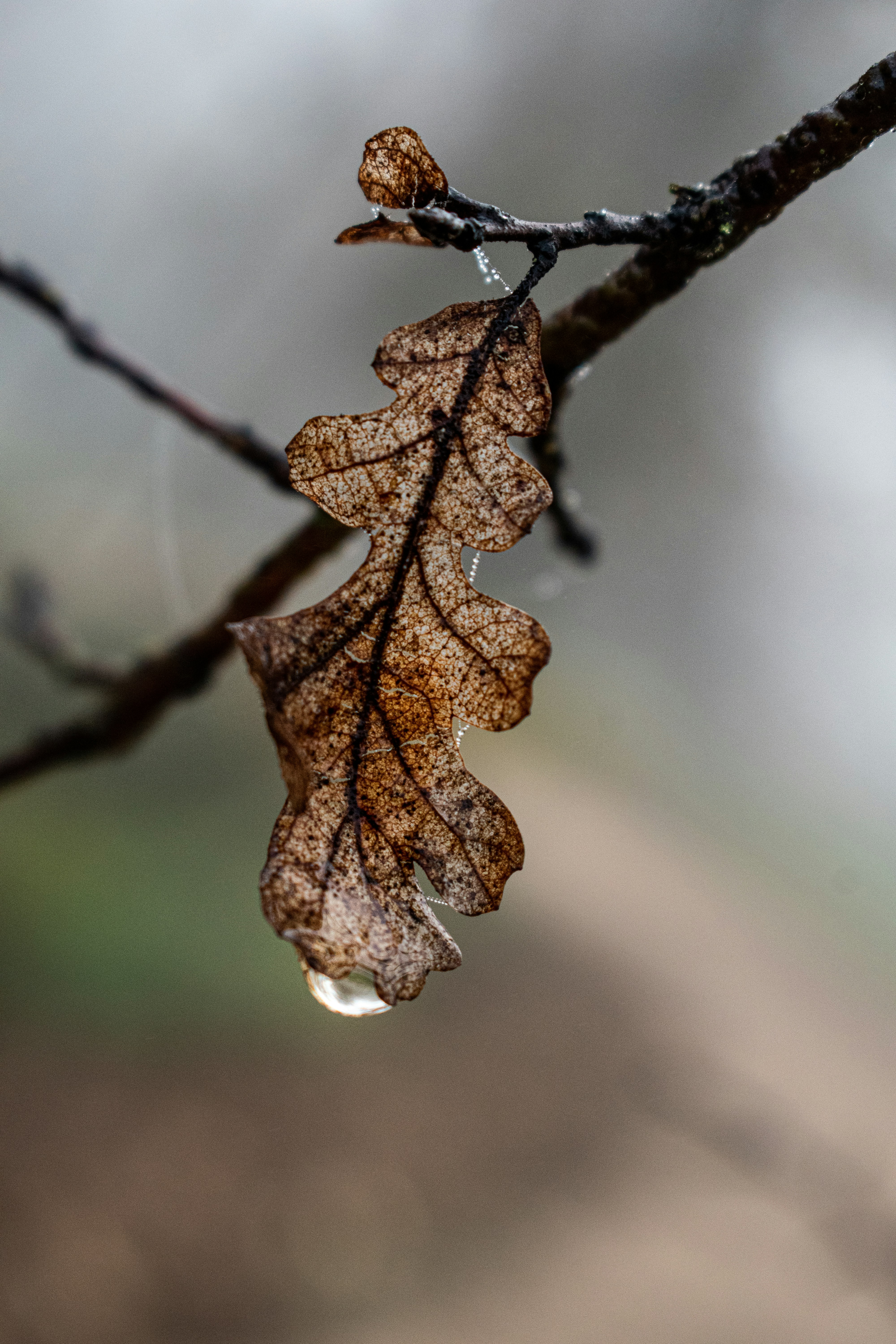 Photo by elisastonephotography