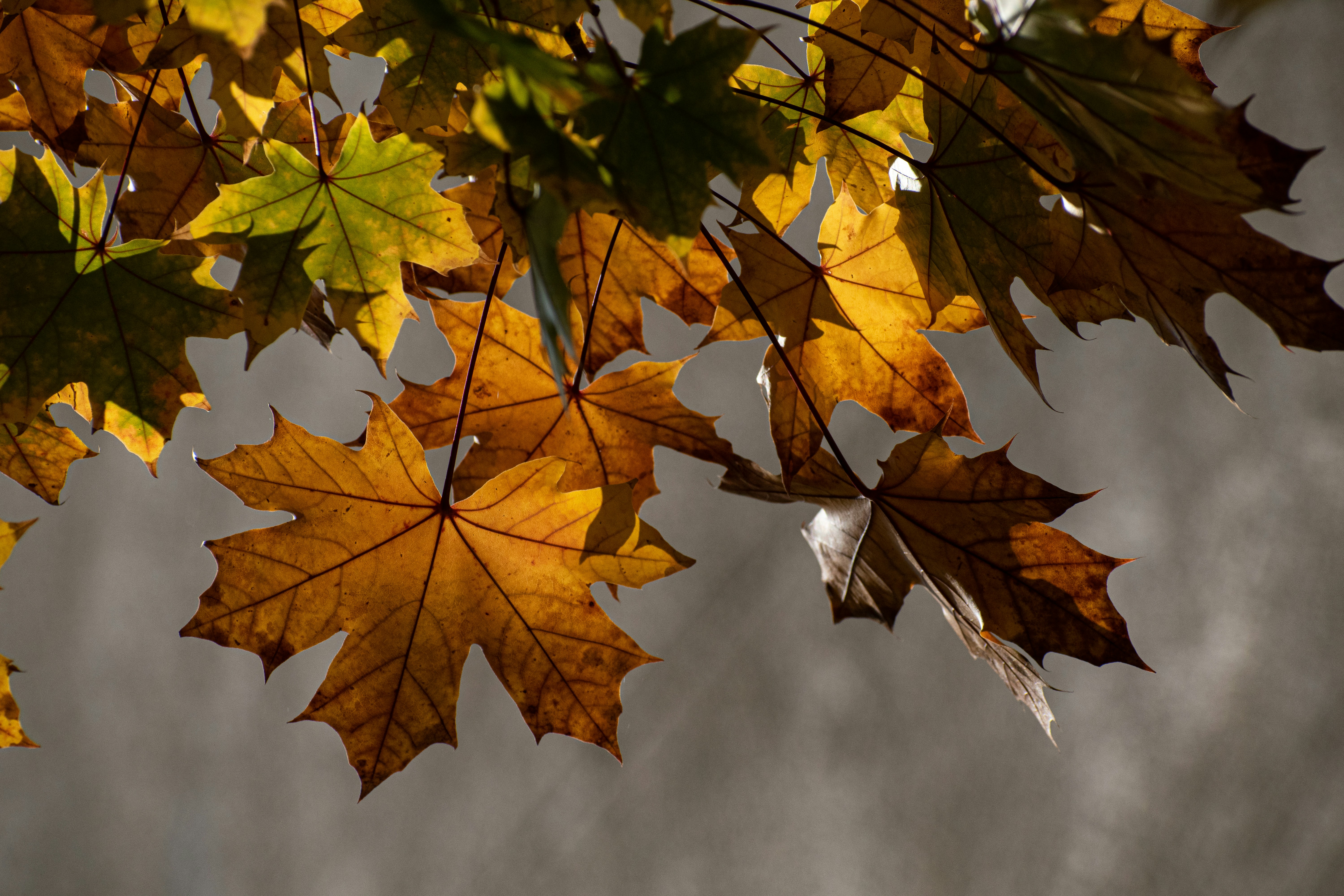 Photo by elisastonephotography