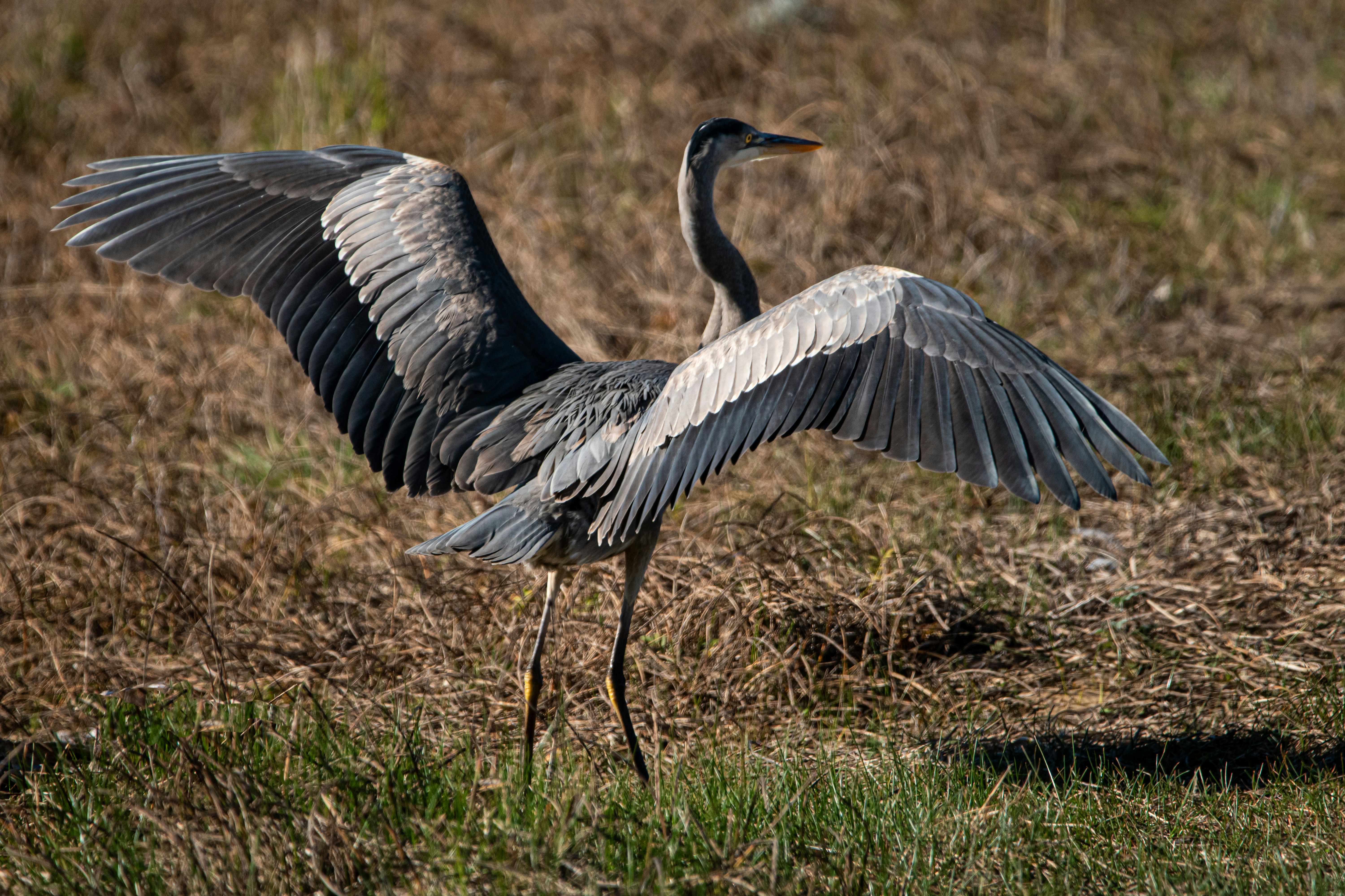 Photo by elisastonephotography