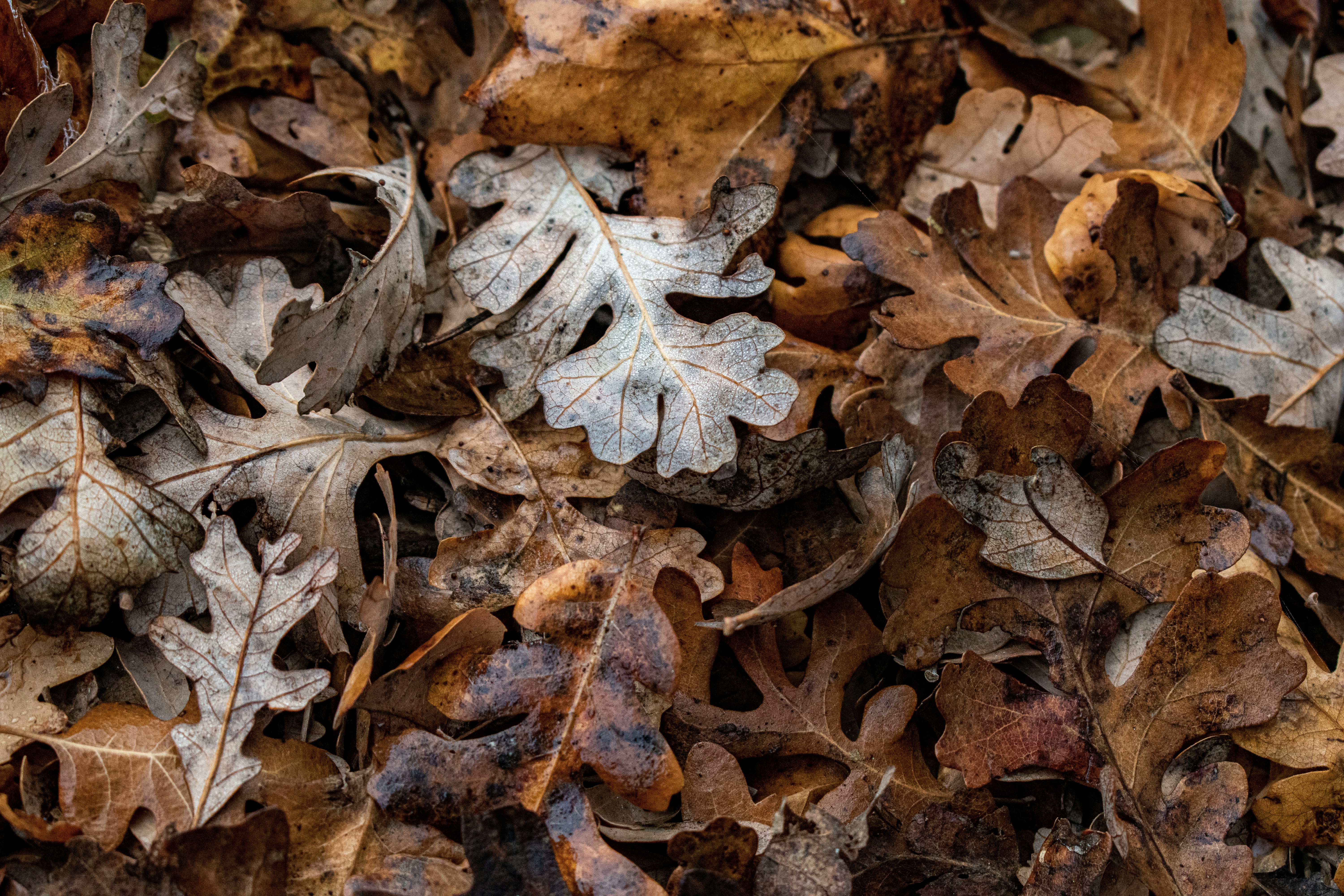 Photo by elisastonephotography