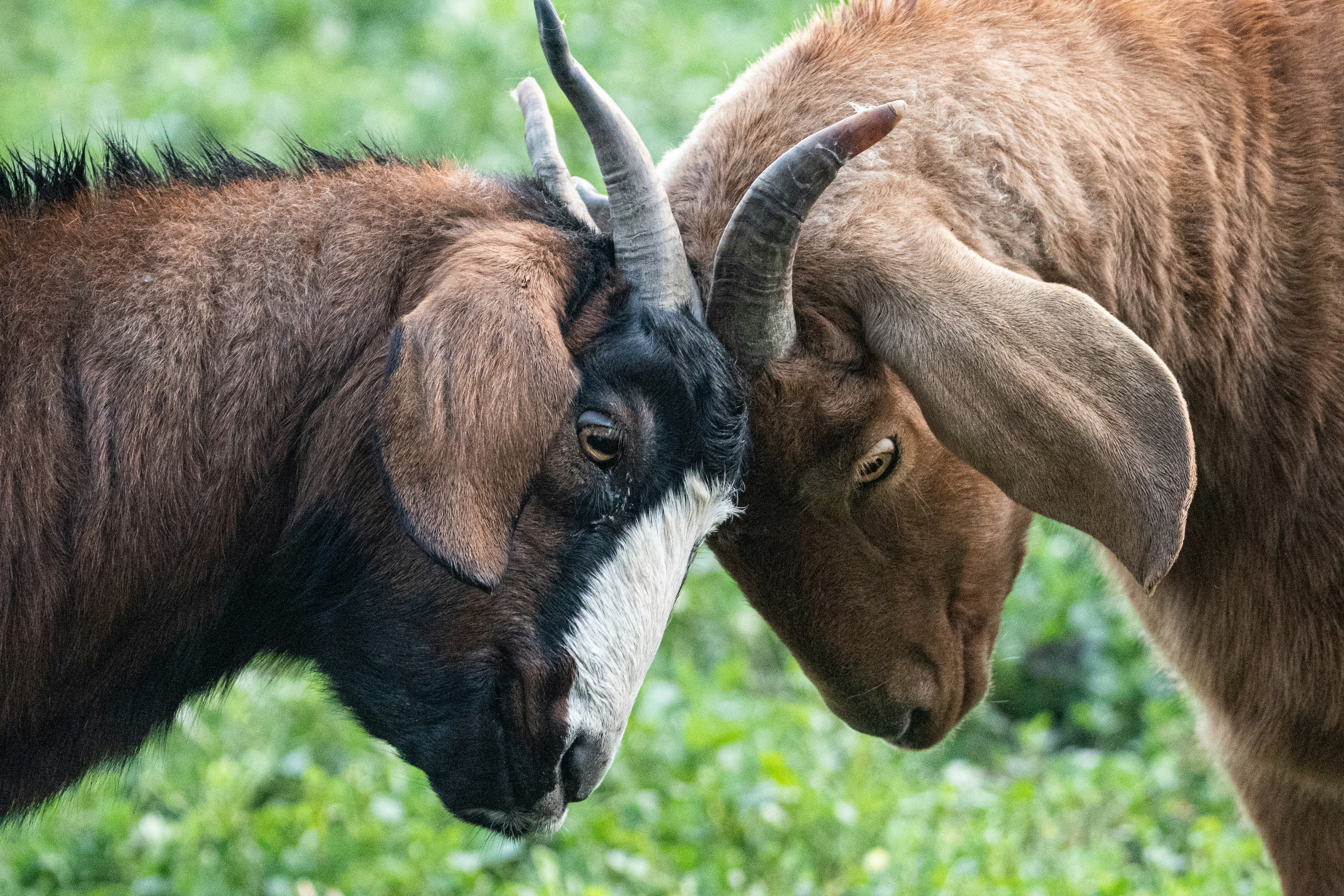 Photo by elisastonephotography