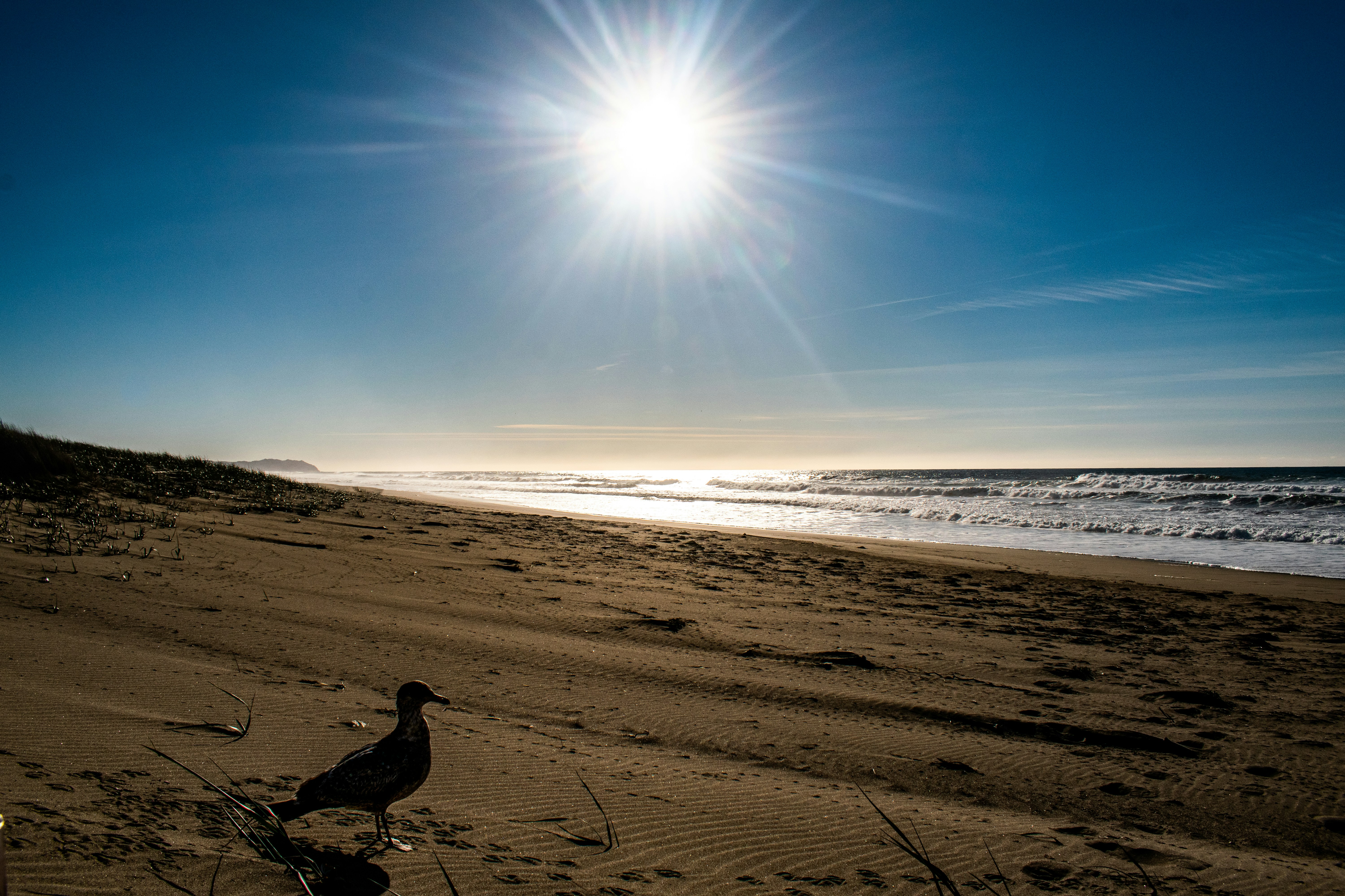 Photo by elisastonephotography