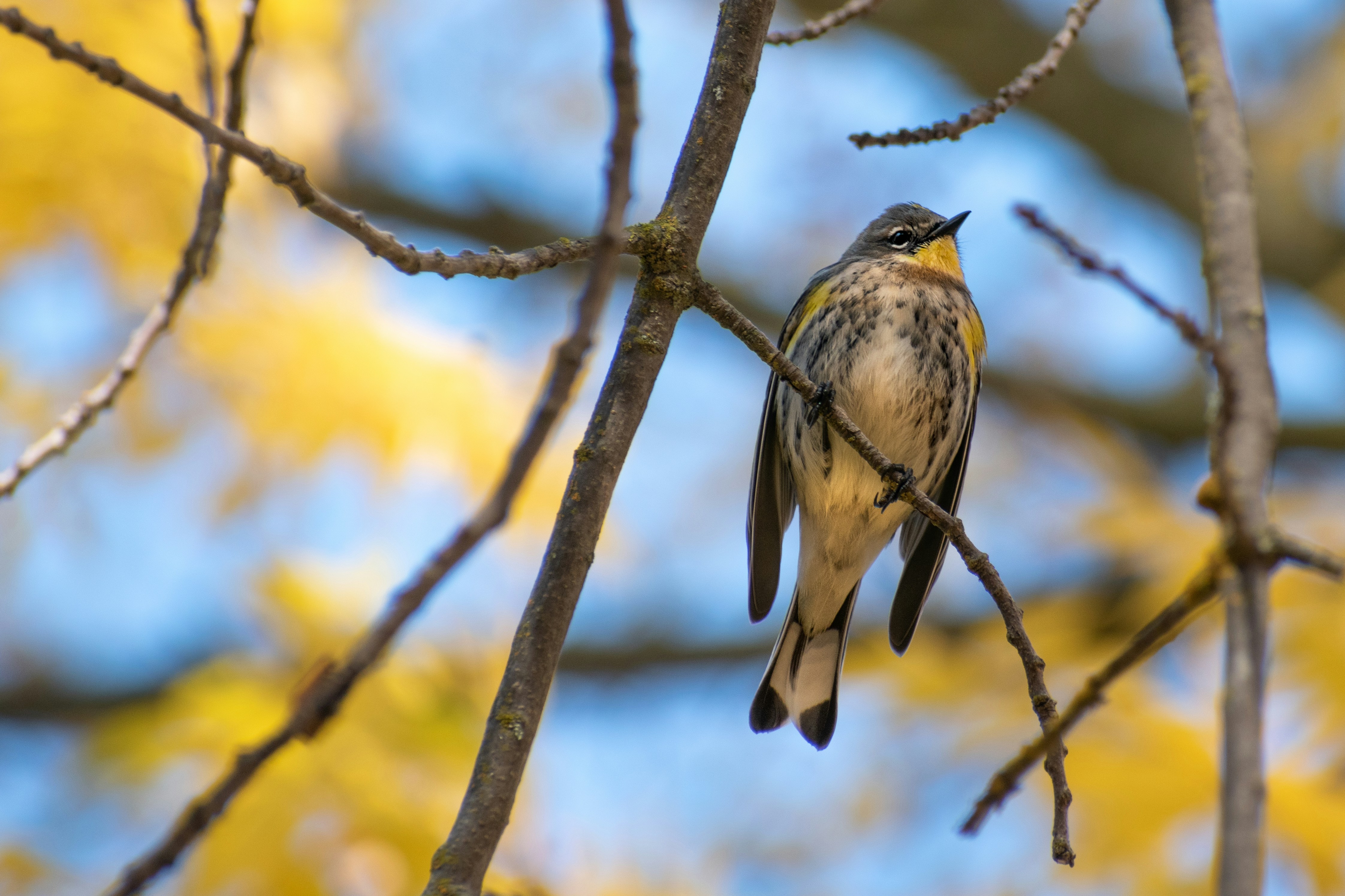 Photo by elisastonephotography