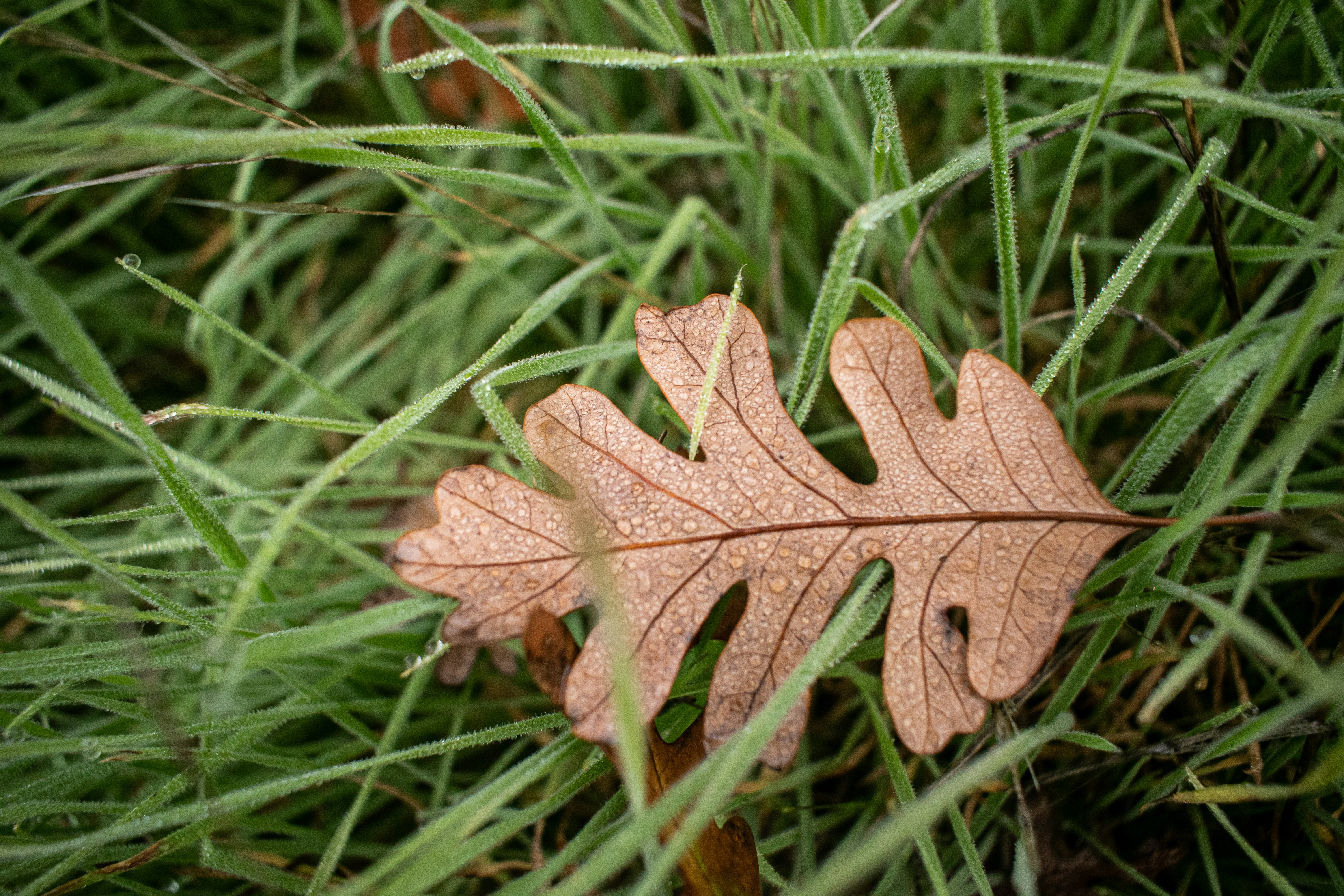Photo by elisastonephotography