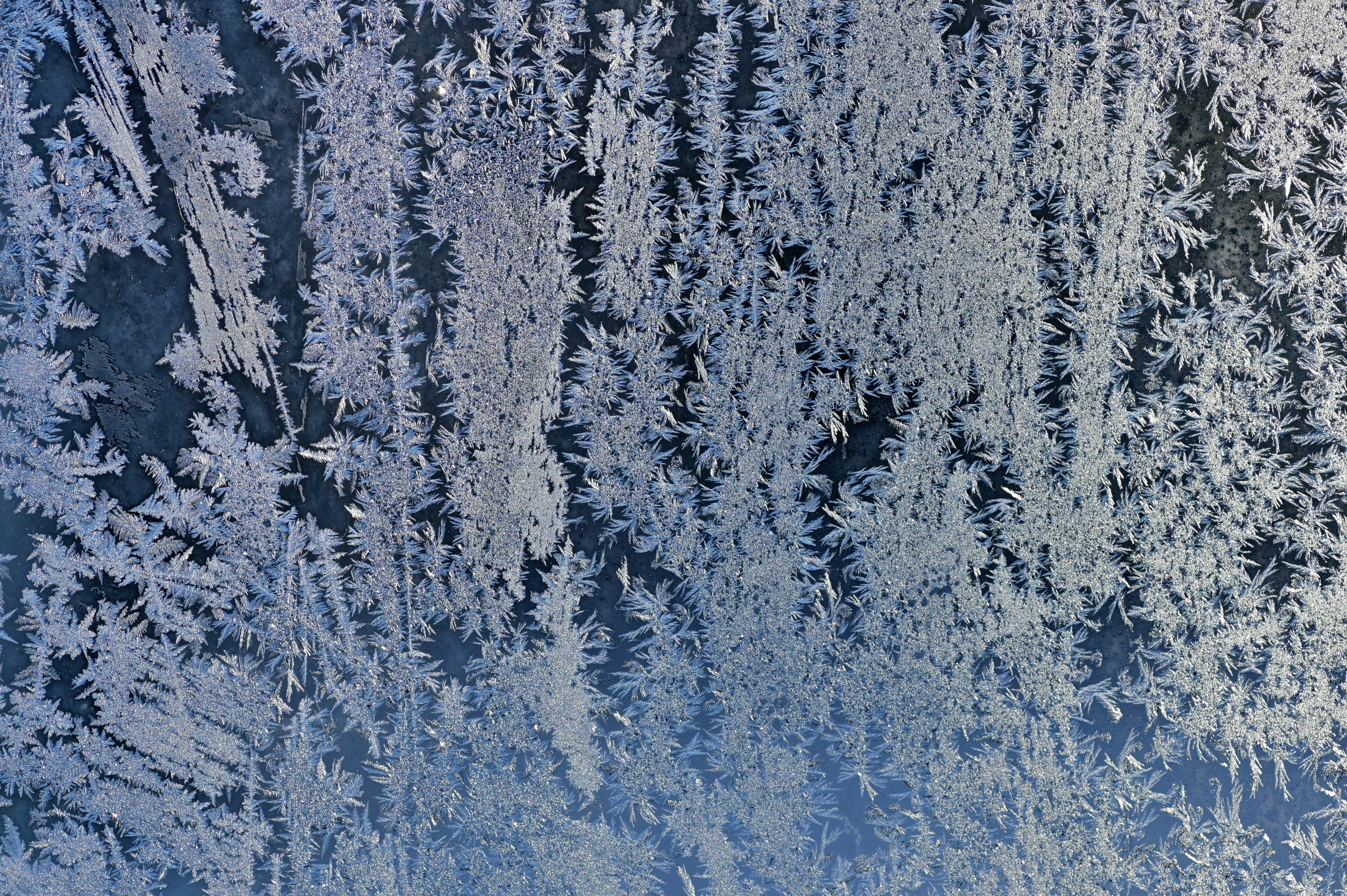 Photo by johnmcclane