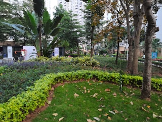 A well-maintained park featuring lush green grass and vibrant plants. Tall trees with dense foliage provide ample shade, while a variety of smaller bushes add depth to the landscaping. Buildings can be seen in the background, suggesting an urban or residential setting. Benches and a path suggest areas for walking or relaxing.