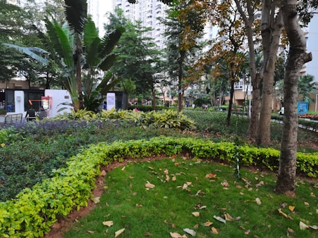 A well-maintained park featuring lush green grass and vibrant plants. Tall trees with dense foliage provide ample shade, while a variety of smaller bushes add depth to the landscaping. Buildings can be seen in the background, suggesting an urban or residential setting. Benches and a path suggest areas for walking or relaxing.