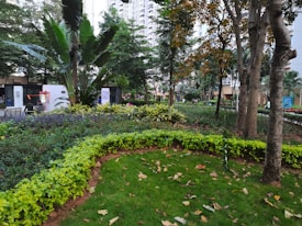 A well-maintained park featuring lush green grass and vibrant plants. Tall trees with dense foliage provide ample shade, while a variety of smaller bushes add depth to the landscaping. Buildings can be seen in the background, suggesting an urban or residential setting. Benches and a path suggest areas for walking or relaxing.