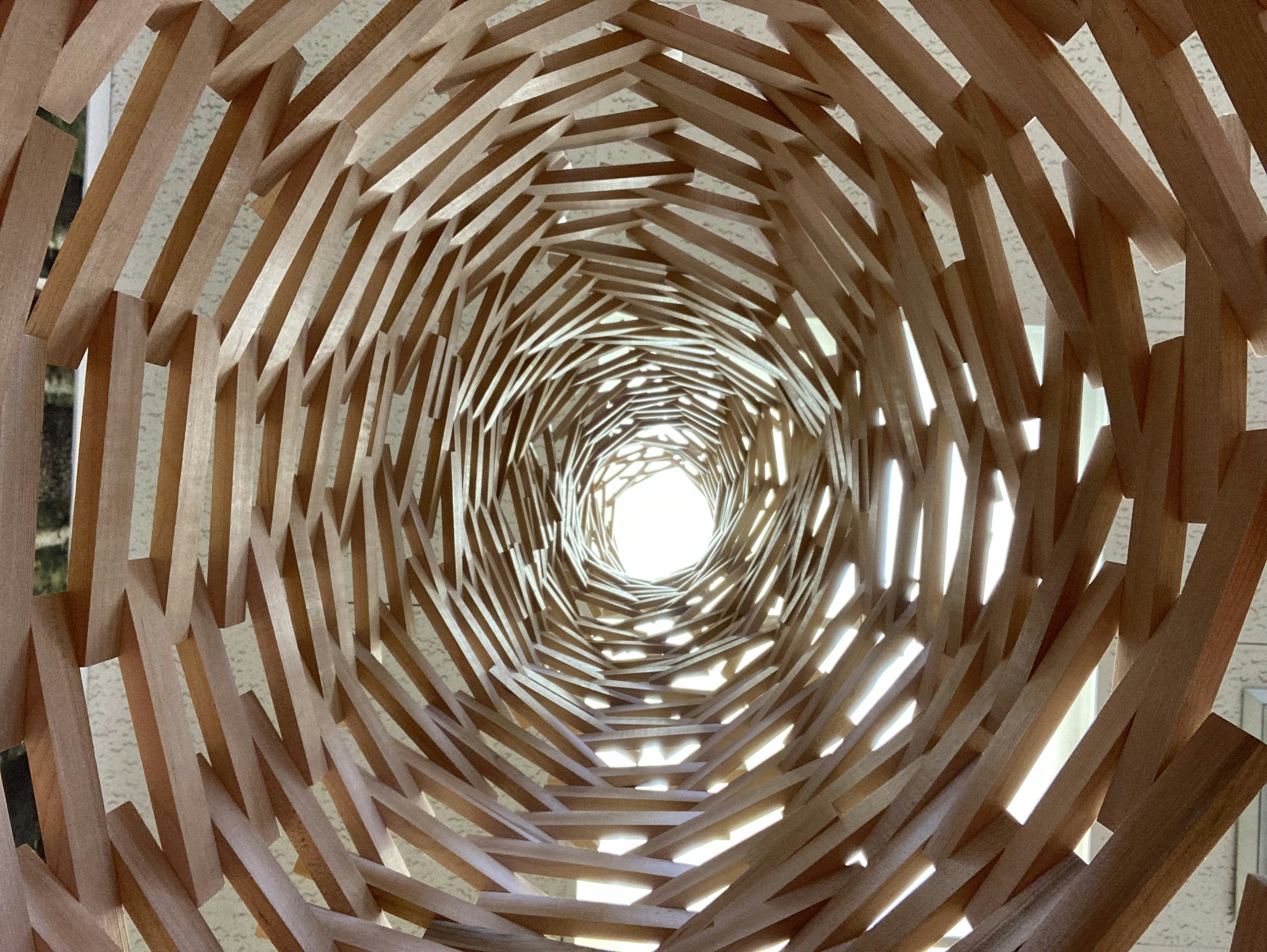 Photo by rubysmith667