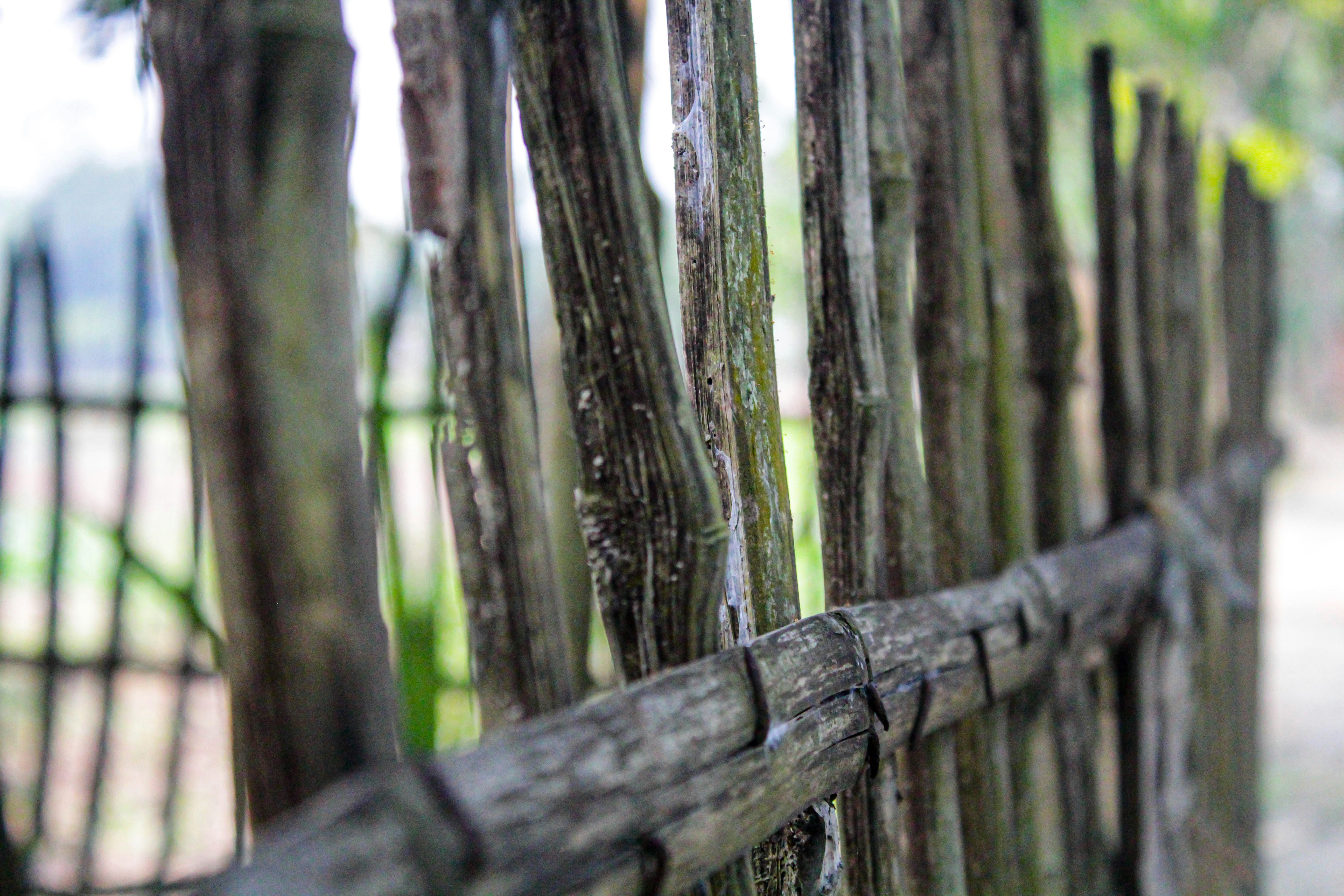 Photo by omerkhan1990