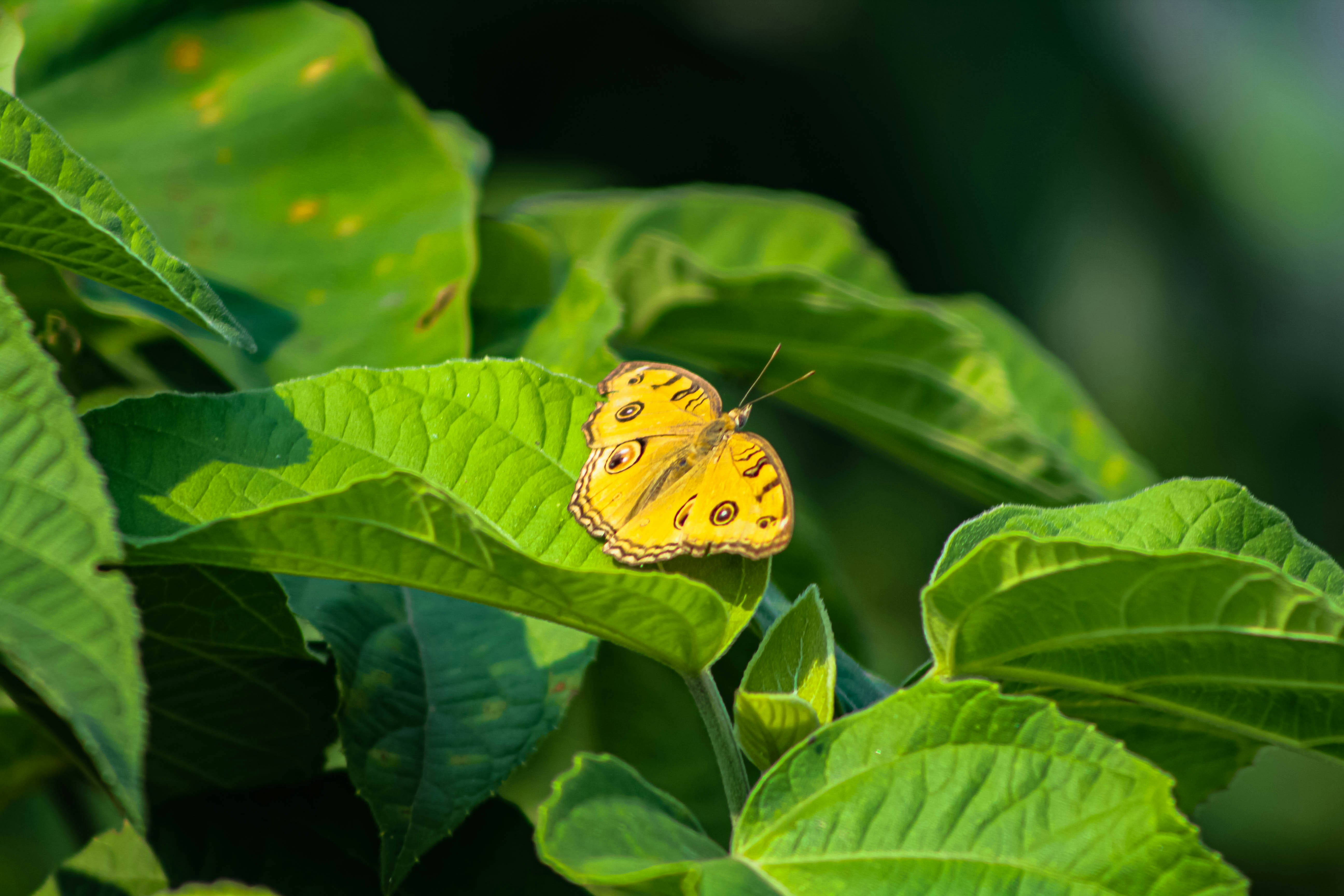 Photo by omerkhan1990