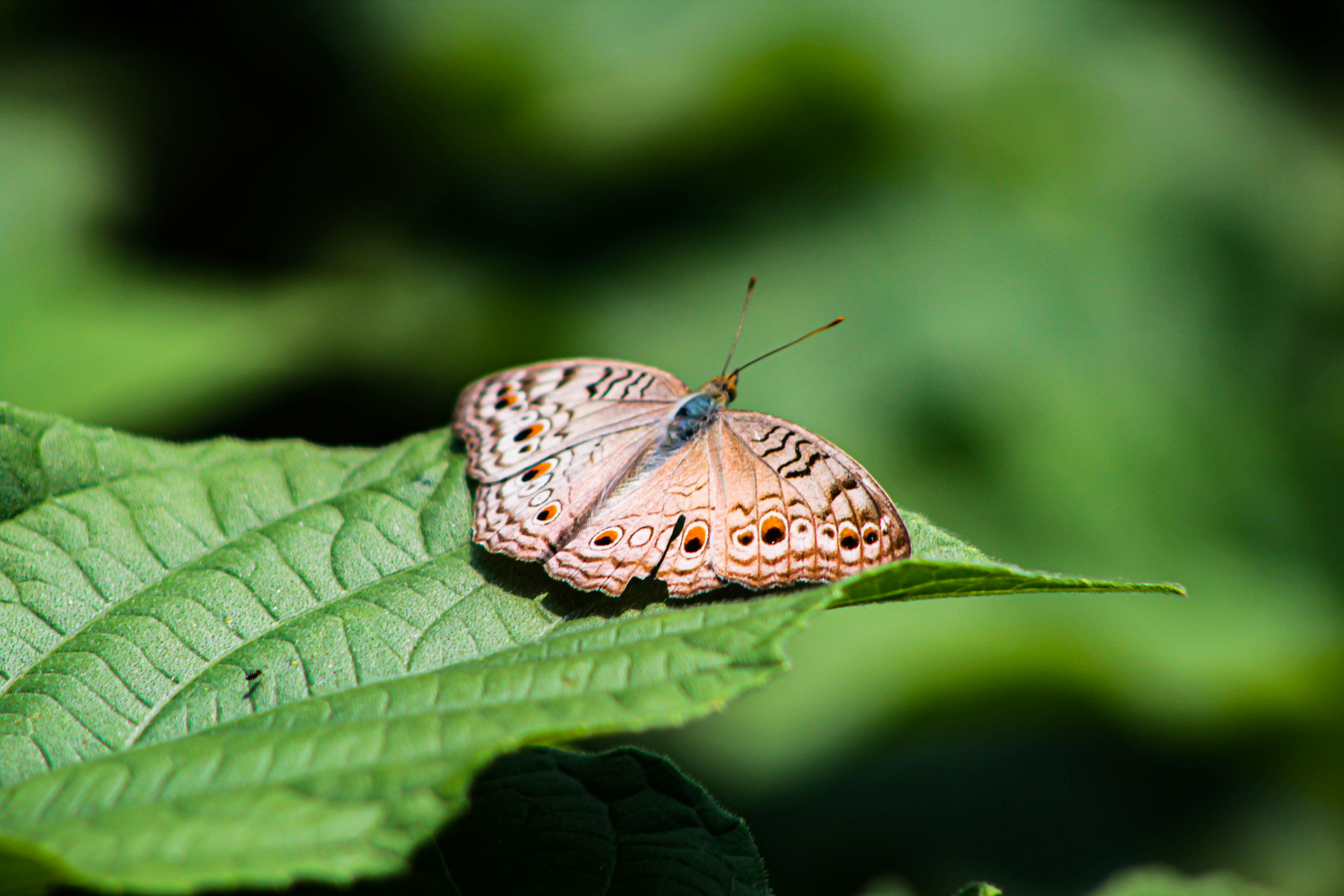 Photo by omerkhan1990