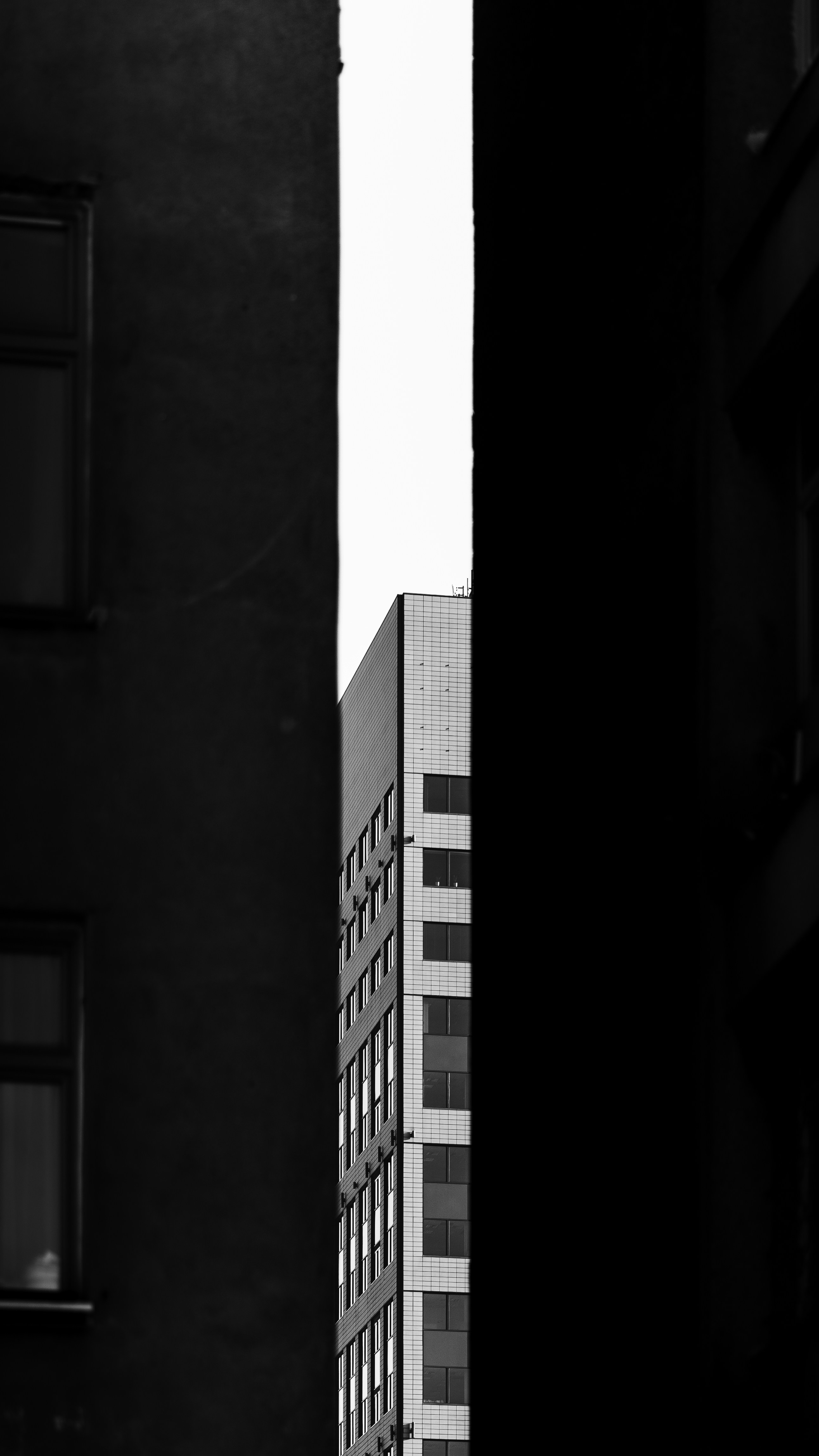 Photo by dom_pacholczyk