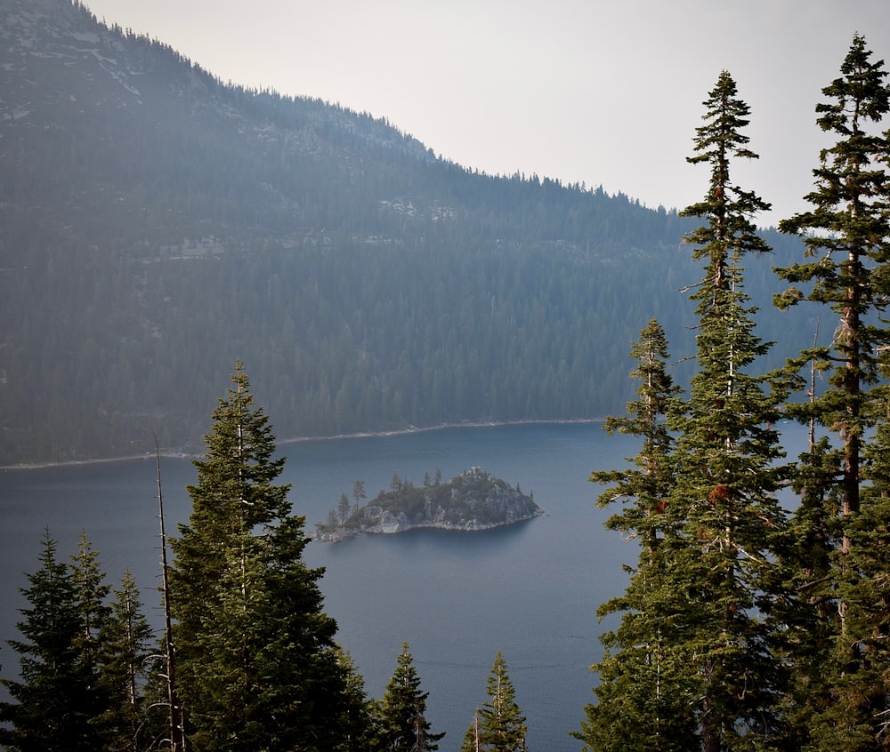 a small island in the middle of a lake surrounded by trees