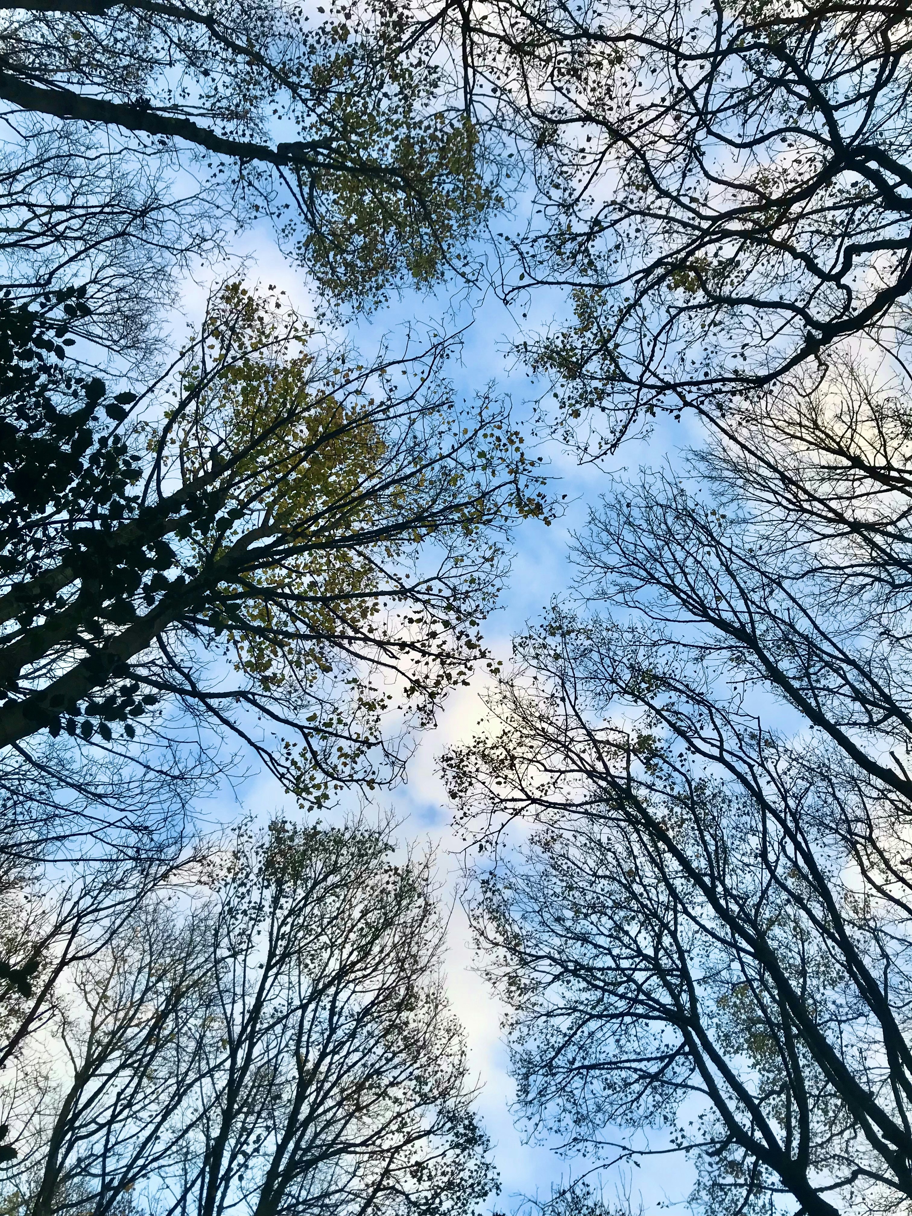 Photo by kittyhutchinson