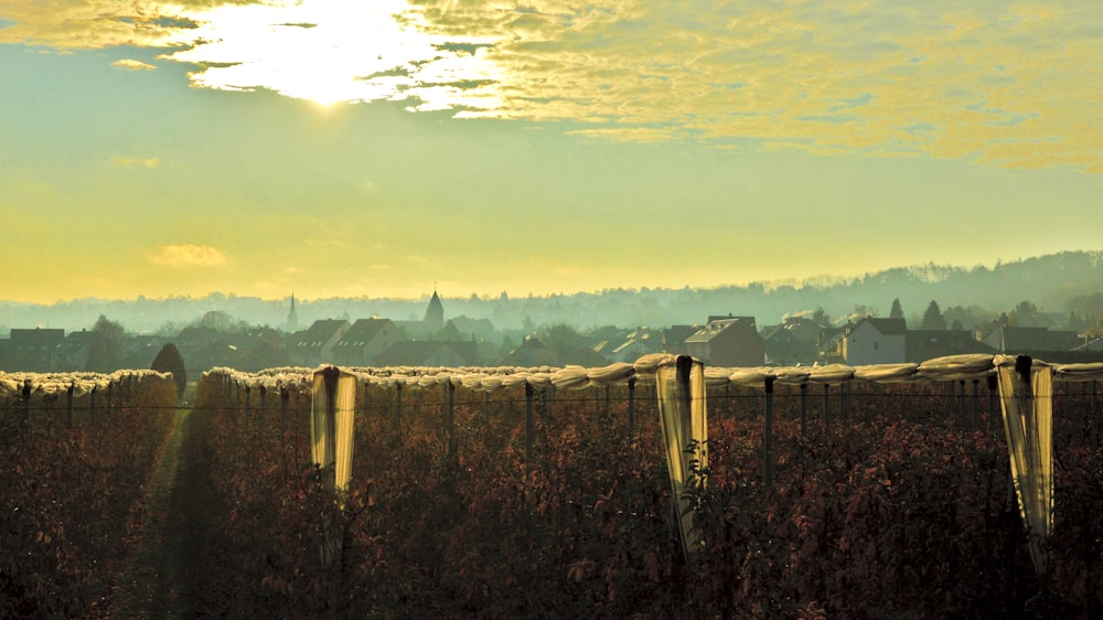 a fence with a view of a town in the distance