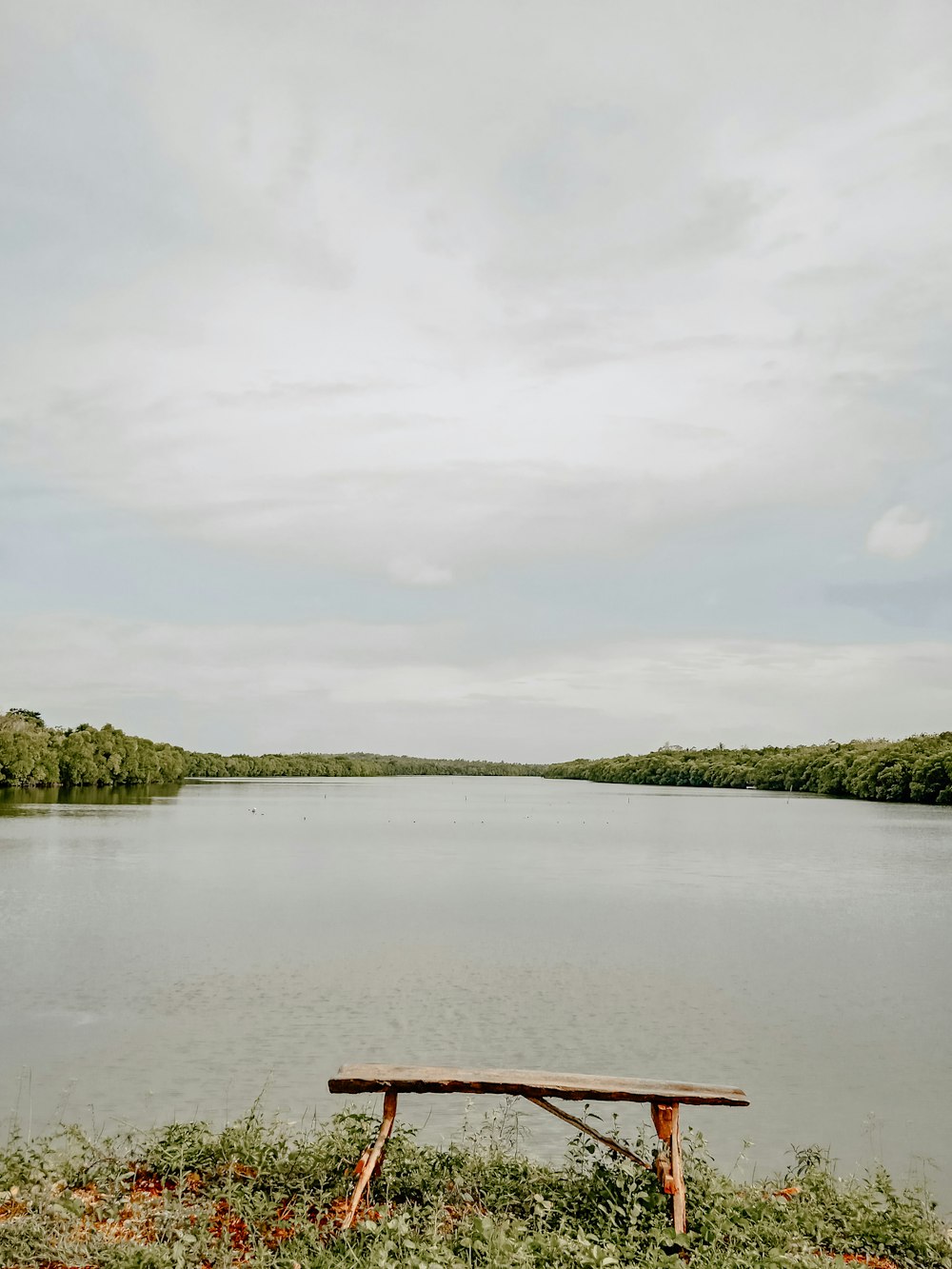 a wooden bench sitting on top of a lush green field