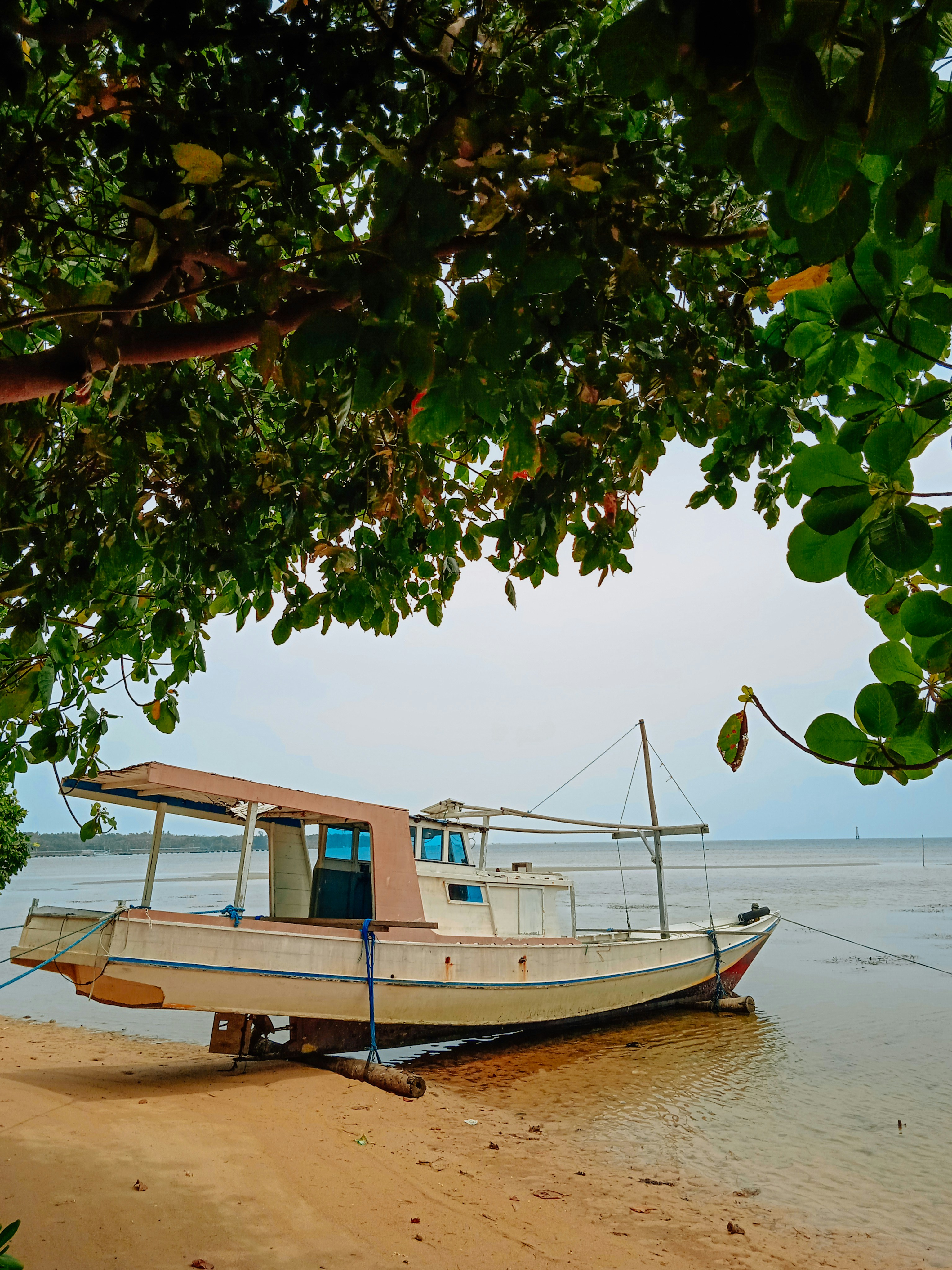 a boat sitting on top of a sandy beach