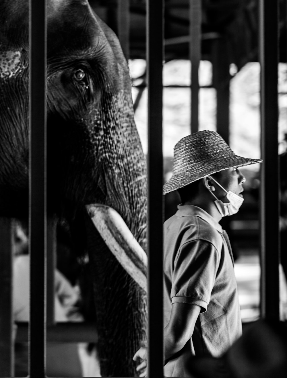 a man in a straw hat standing next to an elephant