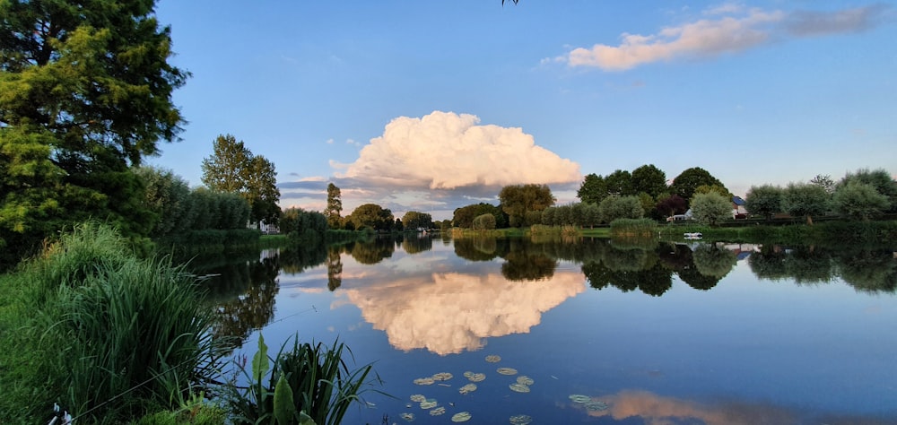 a large body of water surrounded by trees