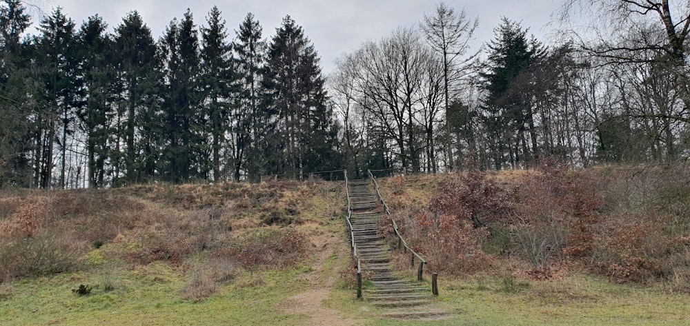 a set of stairs going up a hill in the woods