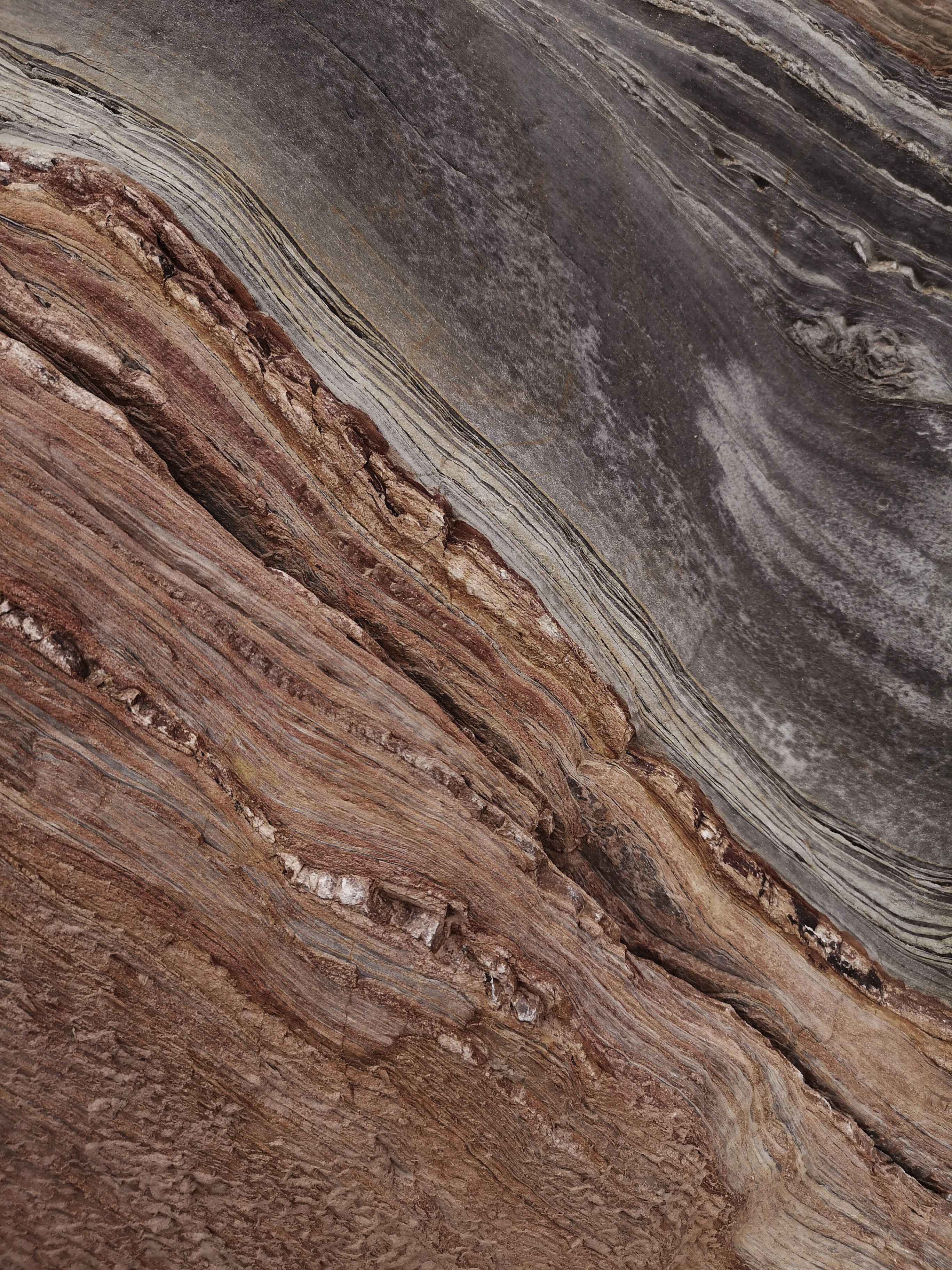 Photo by sotomayorpau