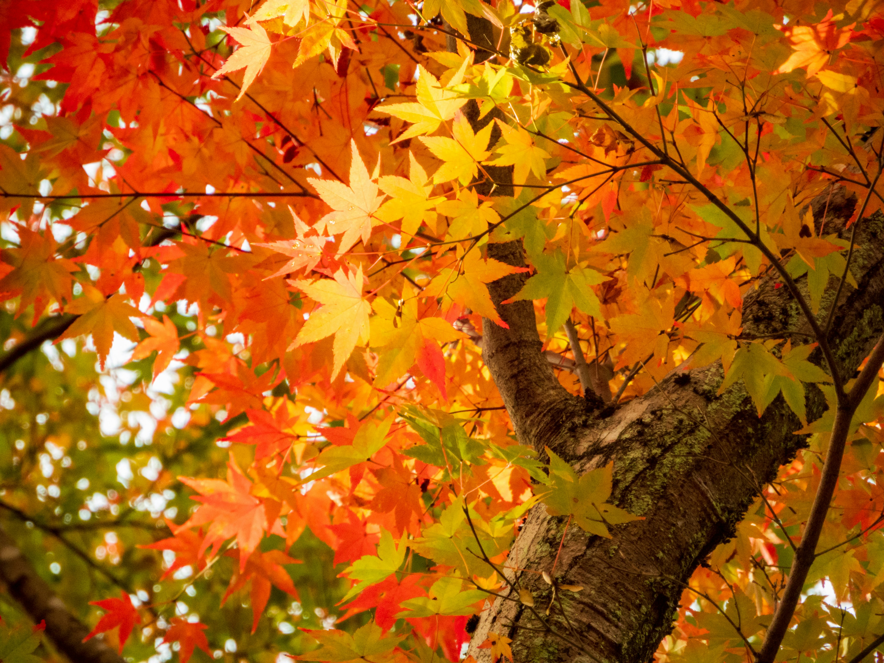 Photo by heppoko_yama