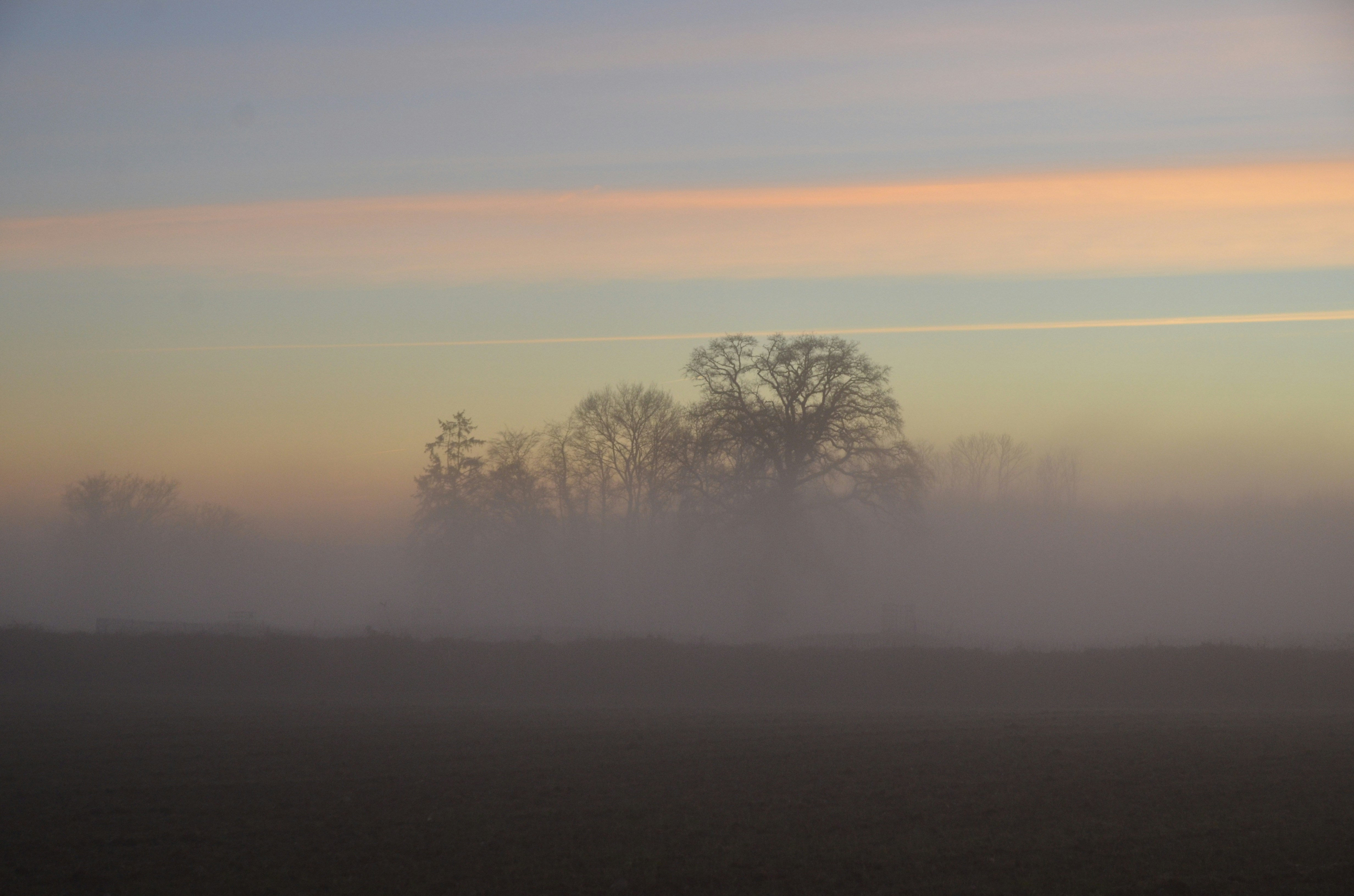 Photo by ashwinward18