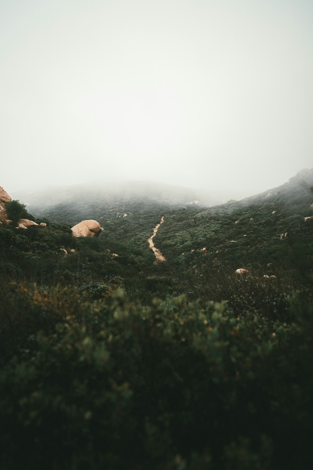 a foggy mountain with a river running through it