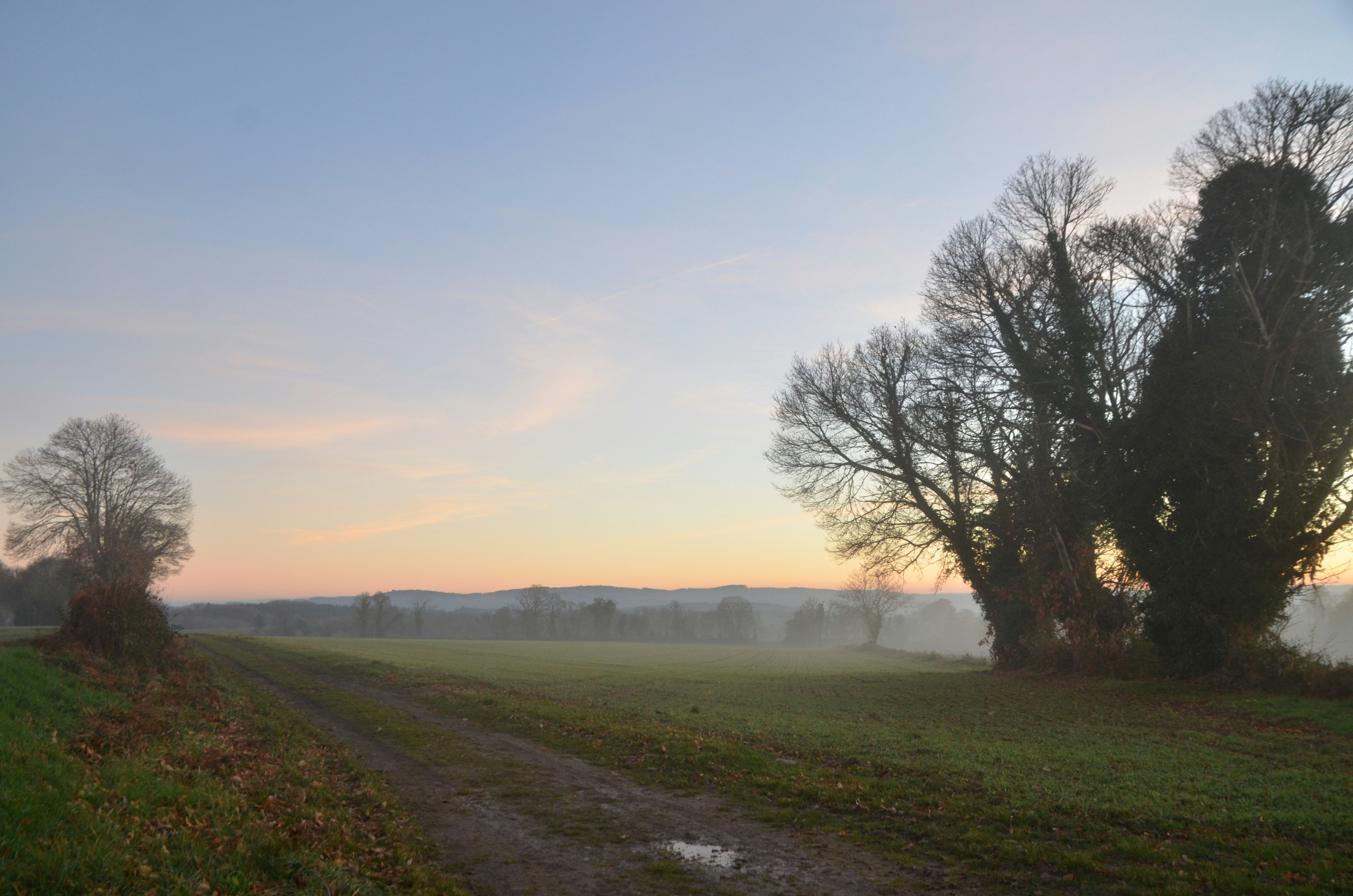 Photo by ashwinward18