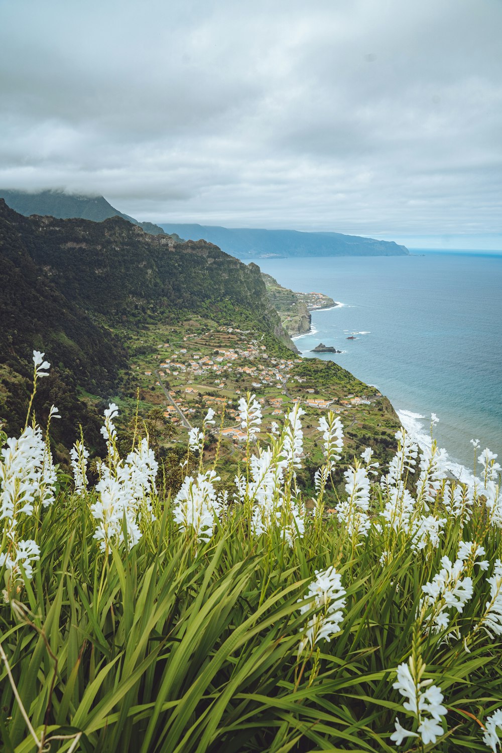 a view of the ocean from the top of a hill