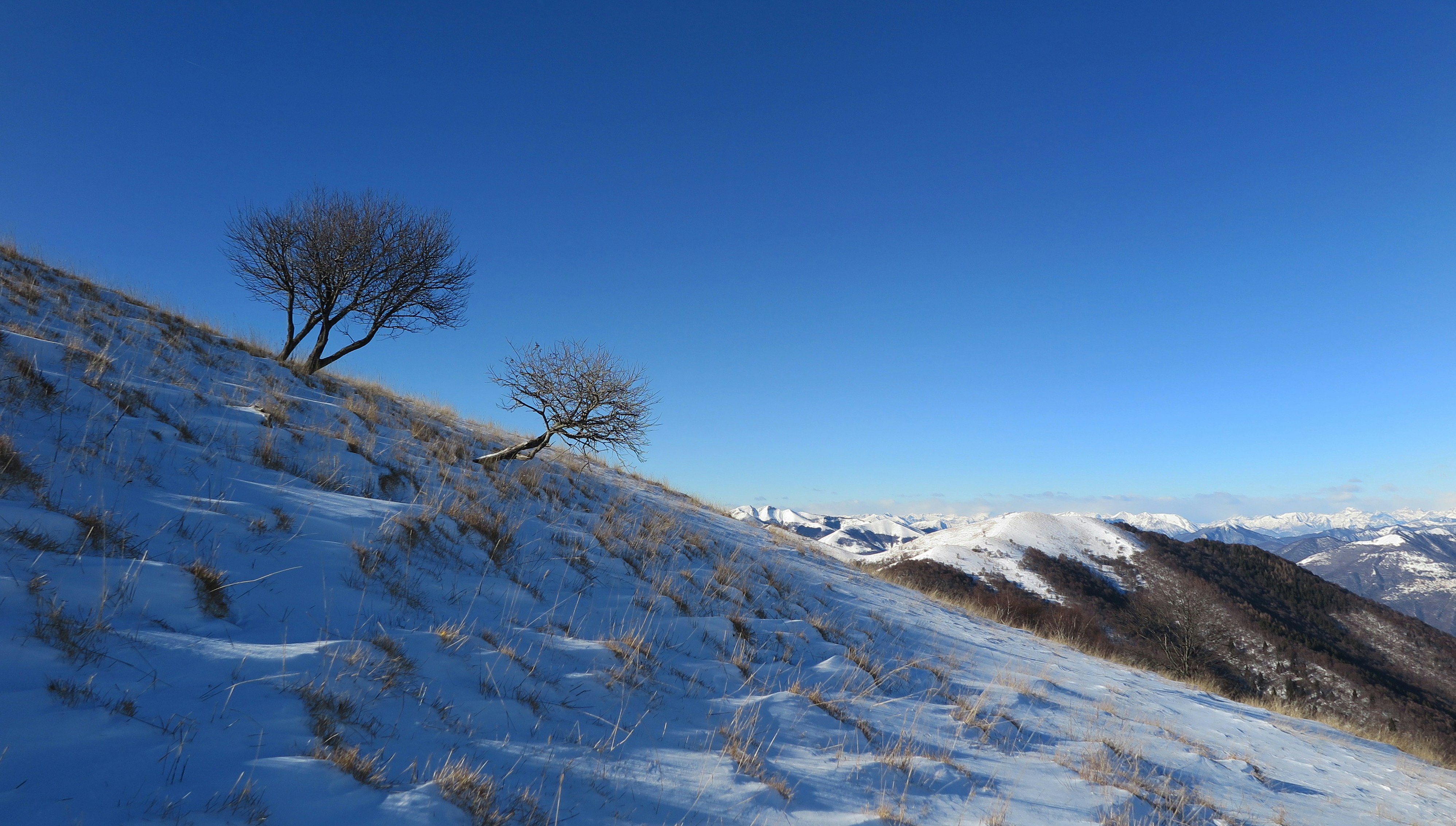 Image by marco forno via Unsplash