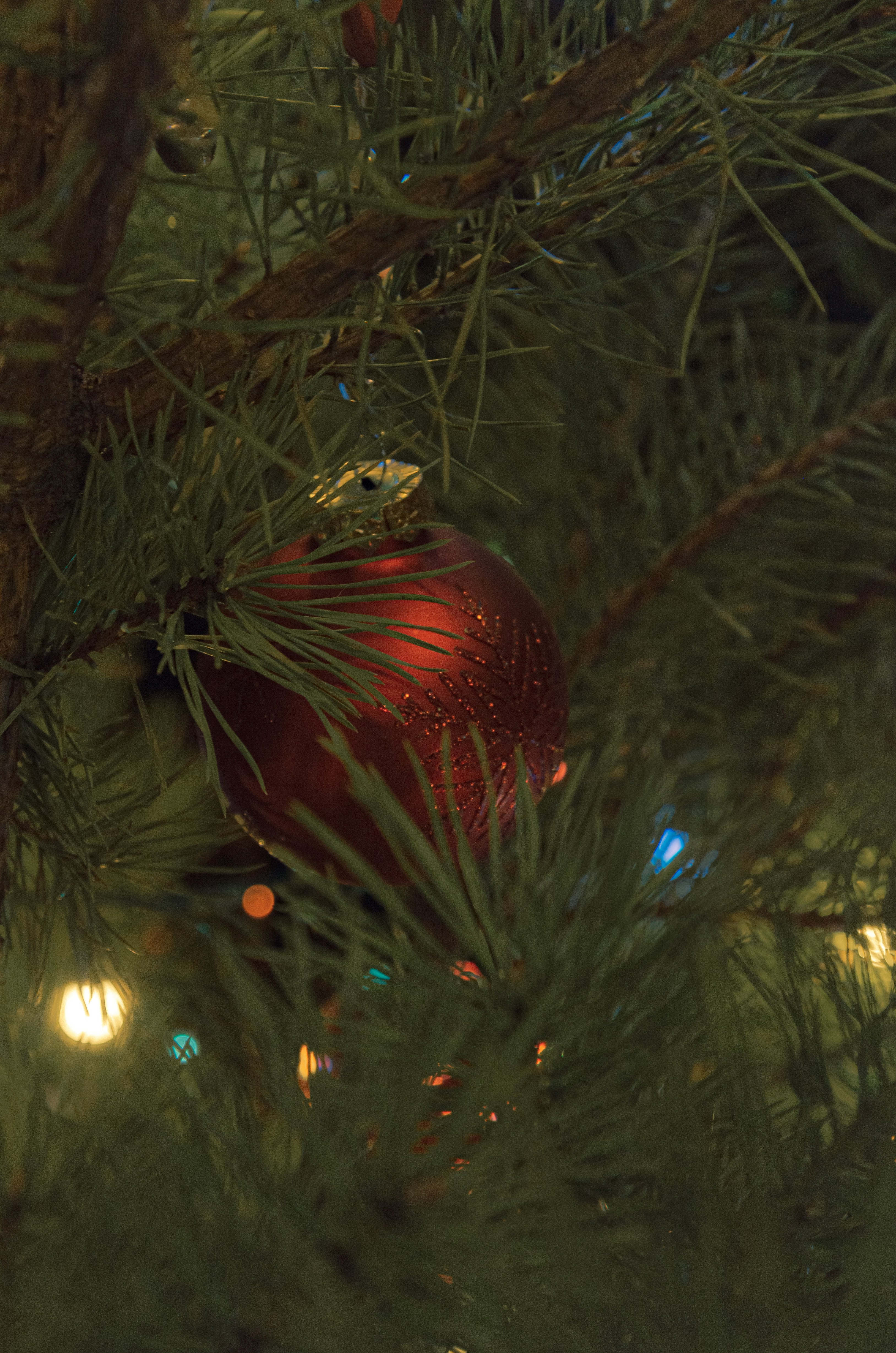 a red ornament hanging from a christmas tree