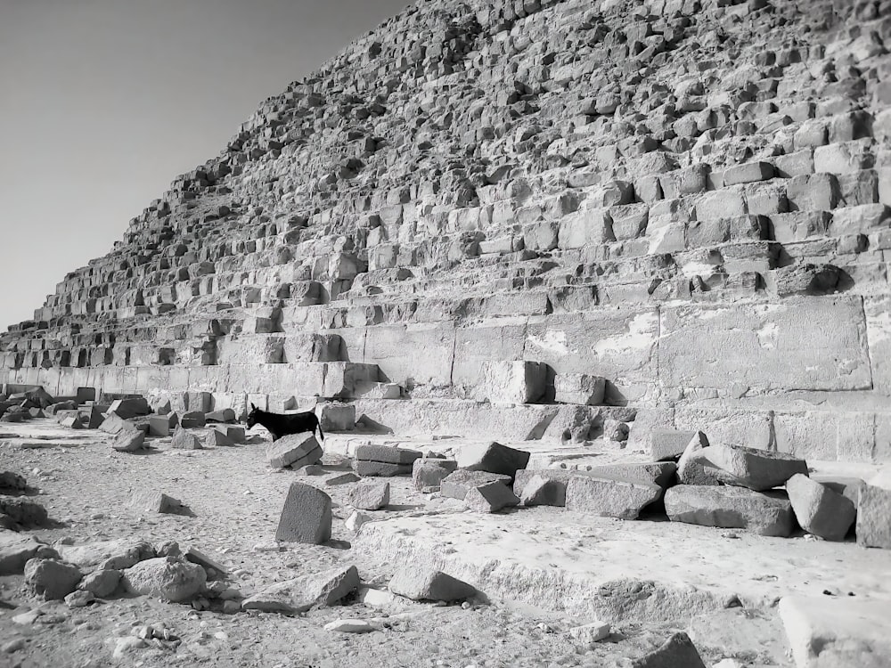 Une photo en noir et blanc de la Grande Pyramide de Gizeh