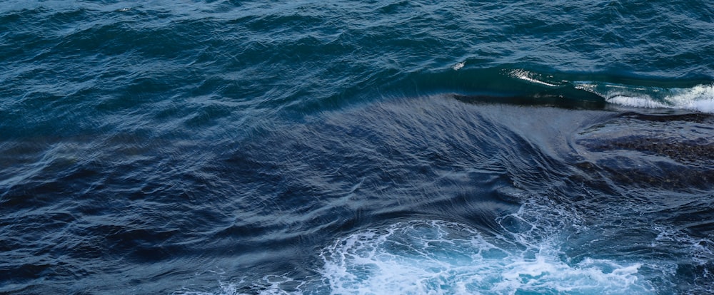 a large body of water with a wave coming towards it