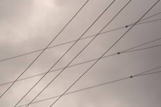 Several parallel electrical wires stretch across a cloudy sky. The overcast weather creates a muted and somber backdrop.