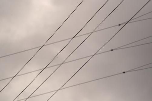 Several parallel electrical wires stretch across a cloudy sky. The overcast weather creates a muted and somber backdrop.