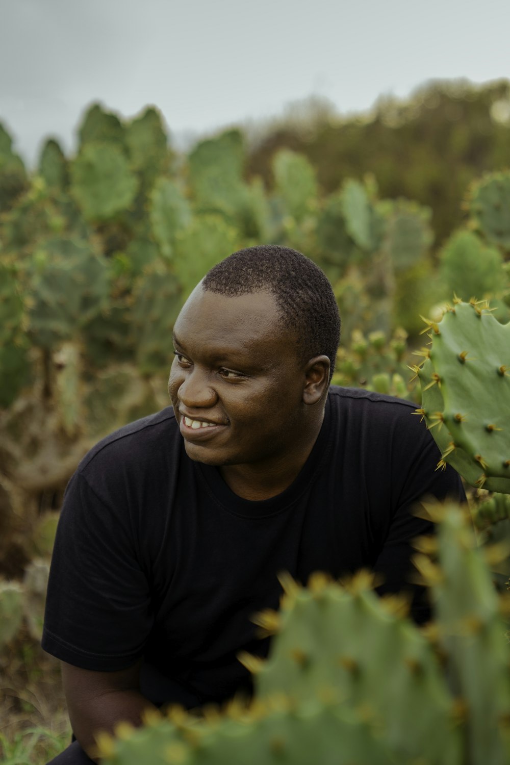 a man sitting in a field of cactus plants