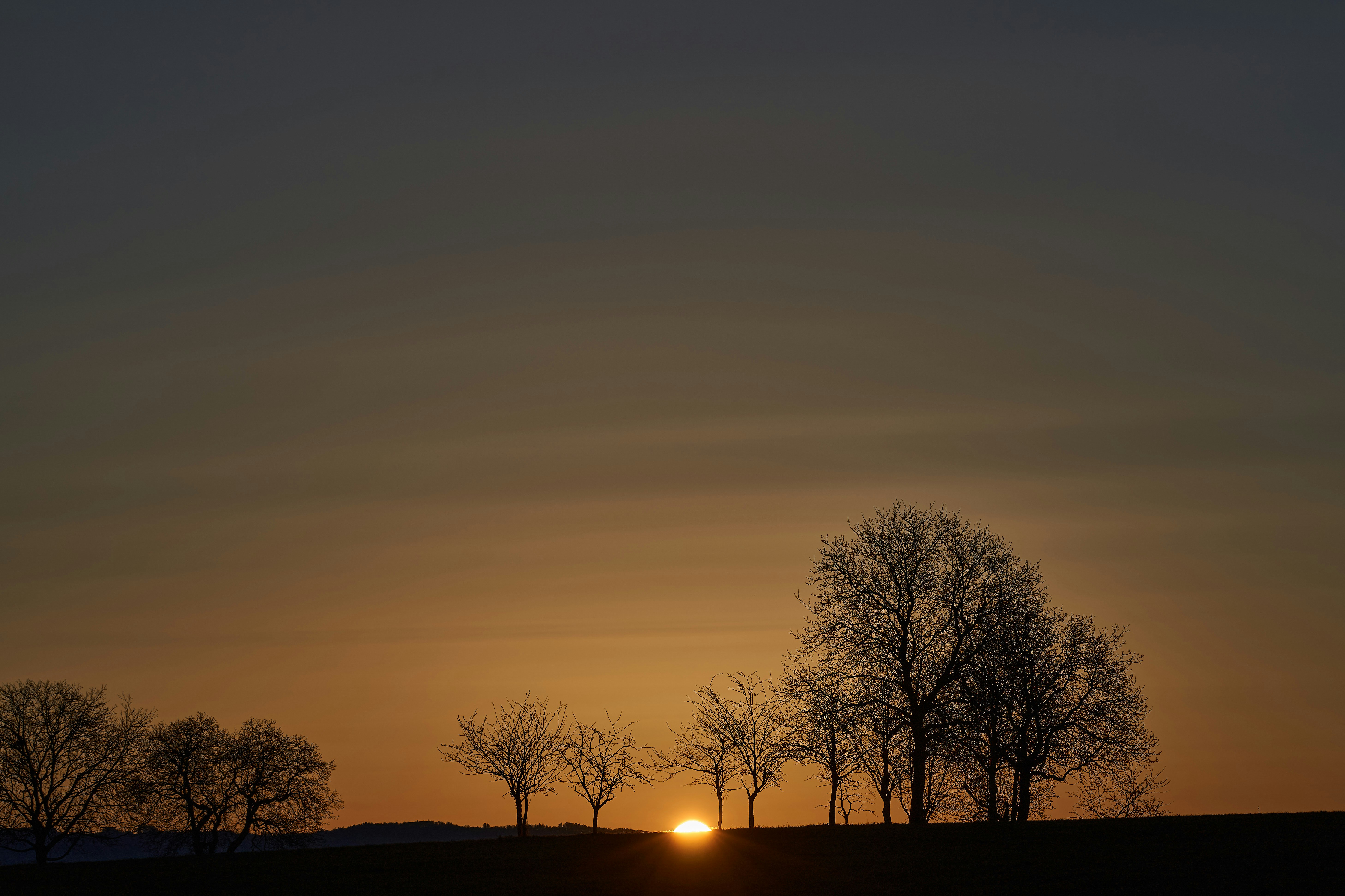 Photo by wolfgang_hasselmann