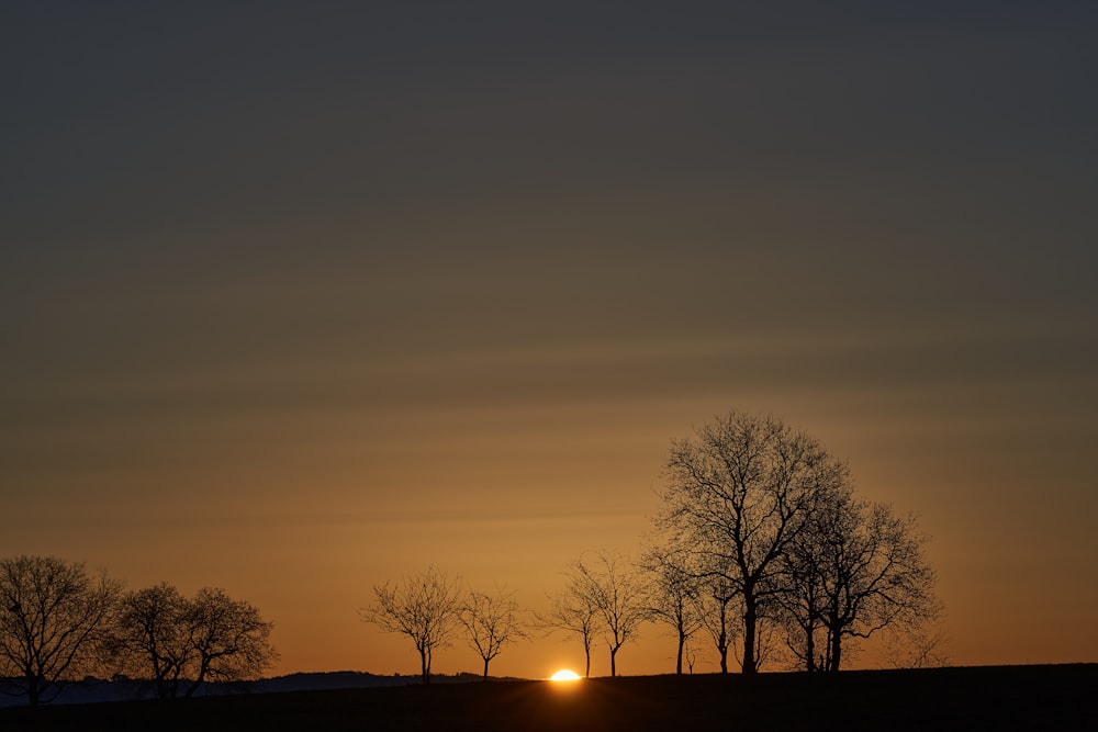 the sun is setting behind some trees in a field