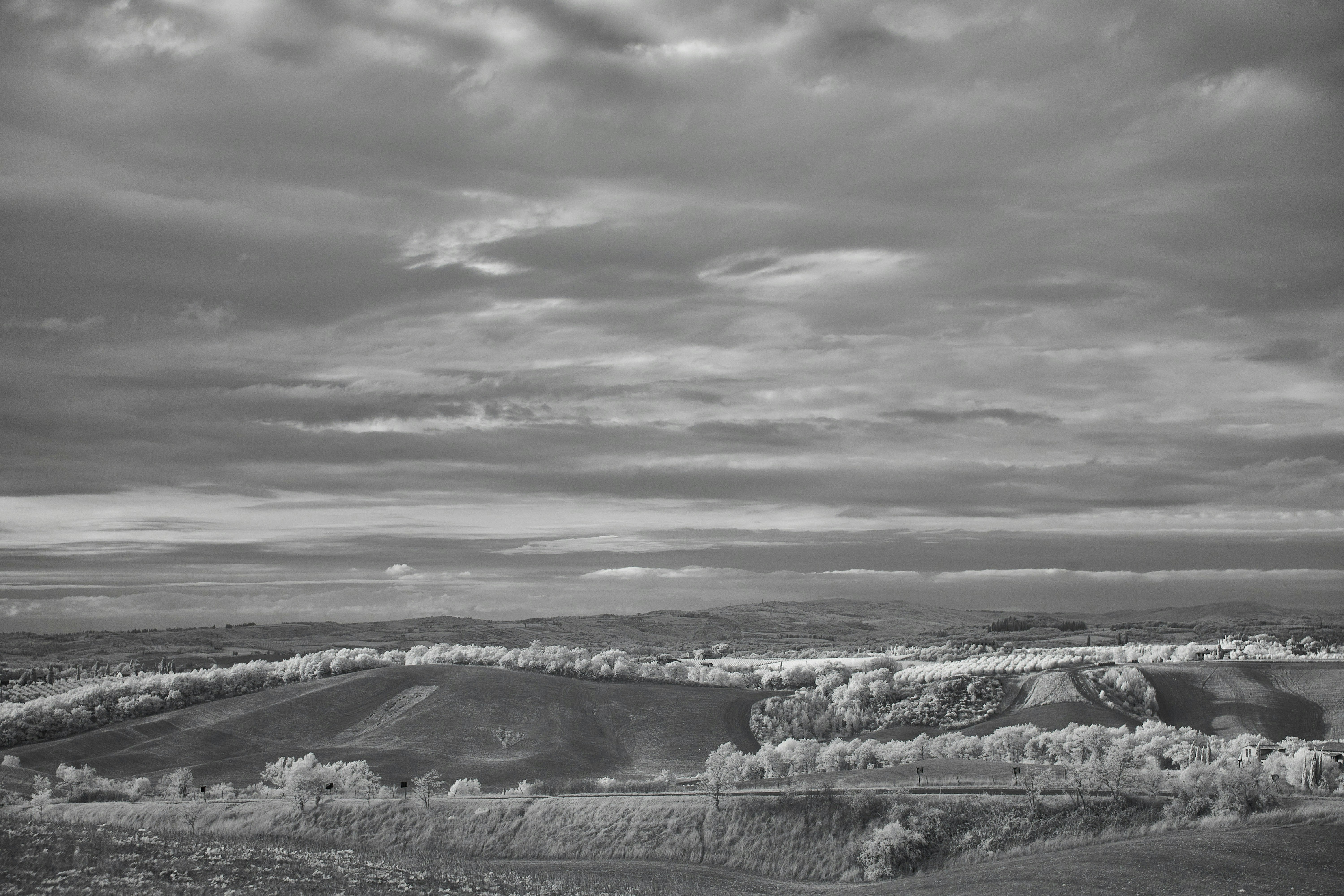 Photo by wolfgang_hasselmann