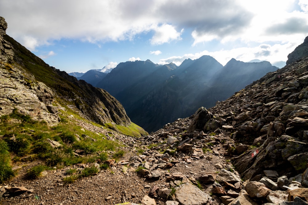 a rocky mountain trail with grass and rocks