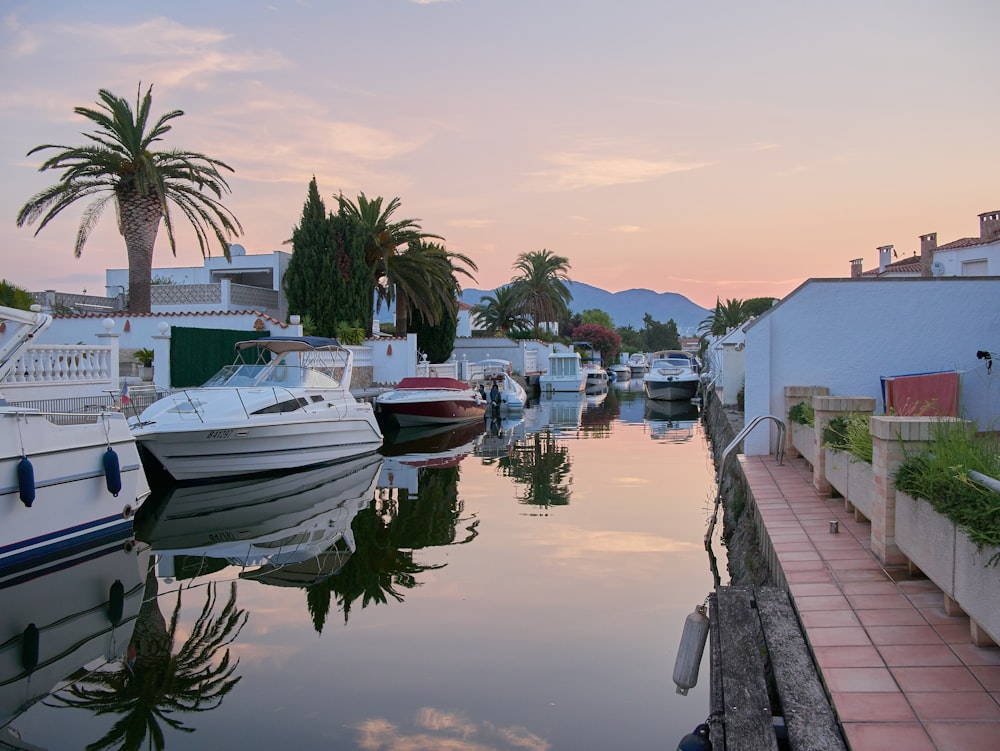 several boats are docked at a marina at sunset